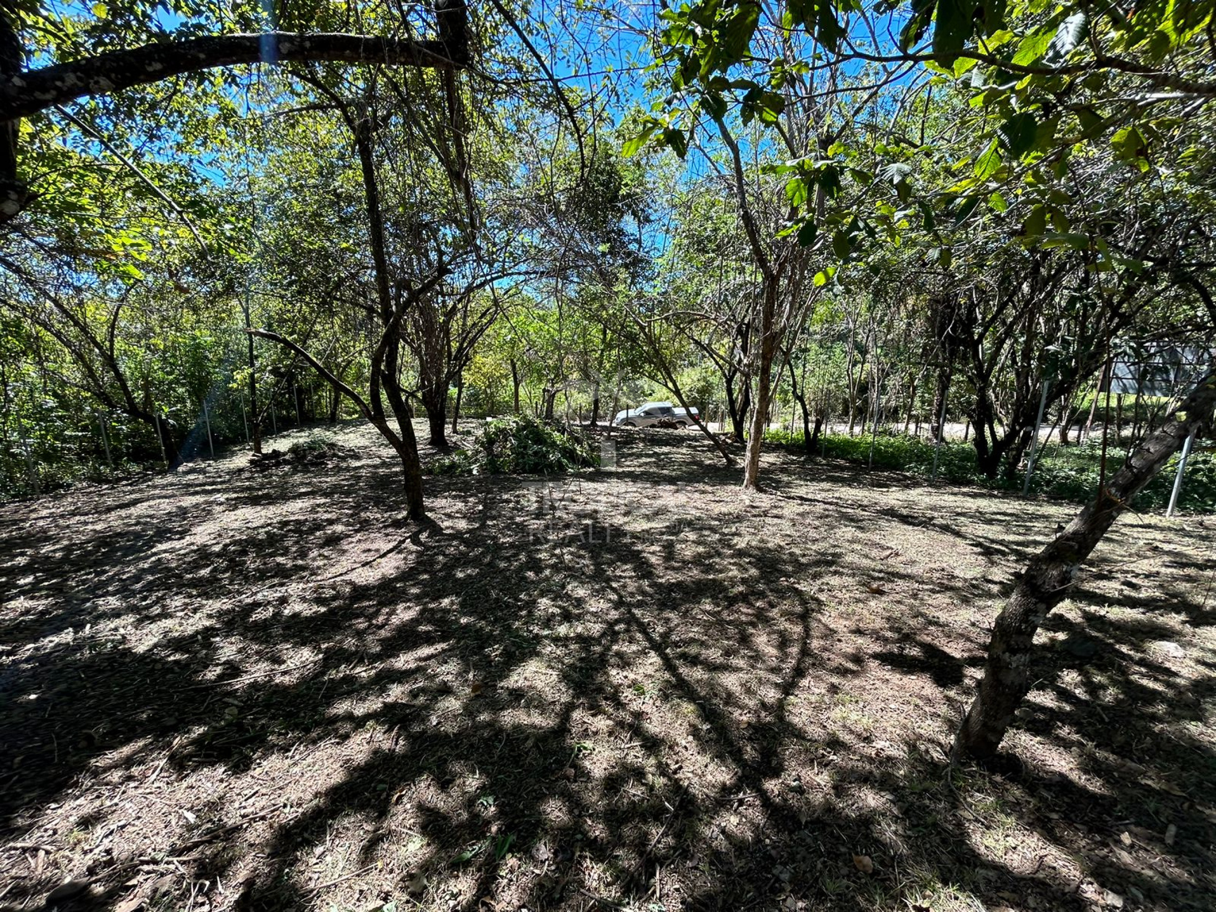 1000m² Lot for Sale in Las Delicias de Cobano: Your Coastal Oasis in Costa Rica.