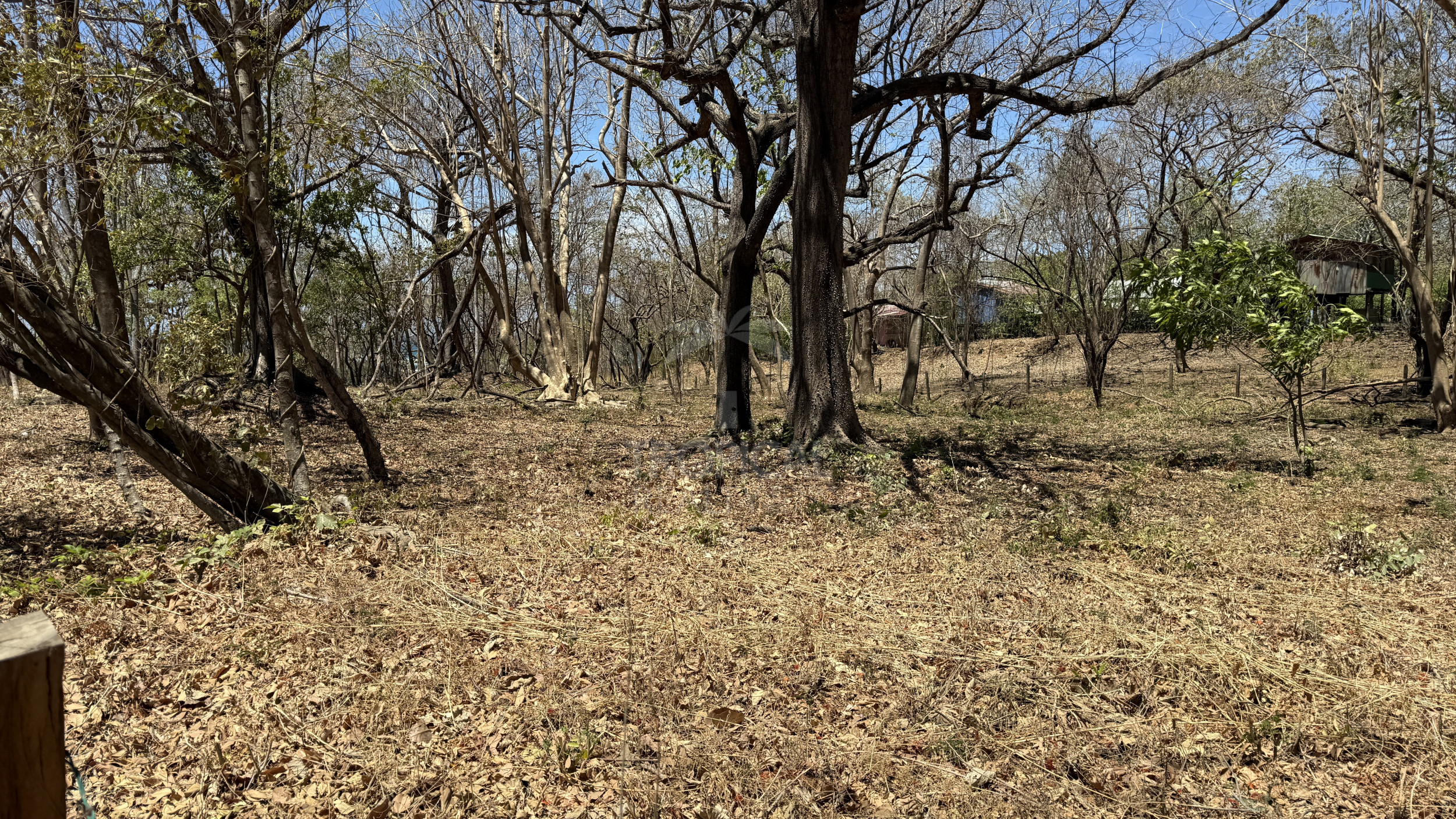 Unique Investment Opportunity – Beachfront Lot for Sale in Guanacaste