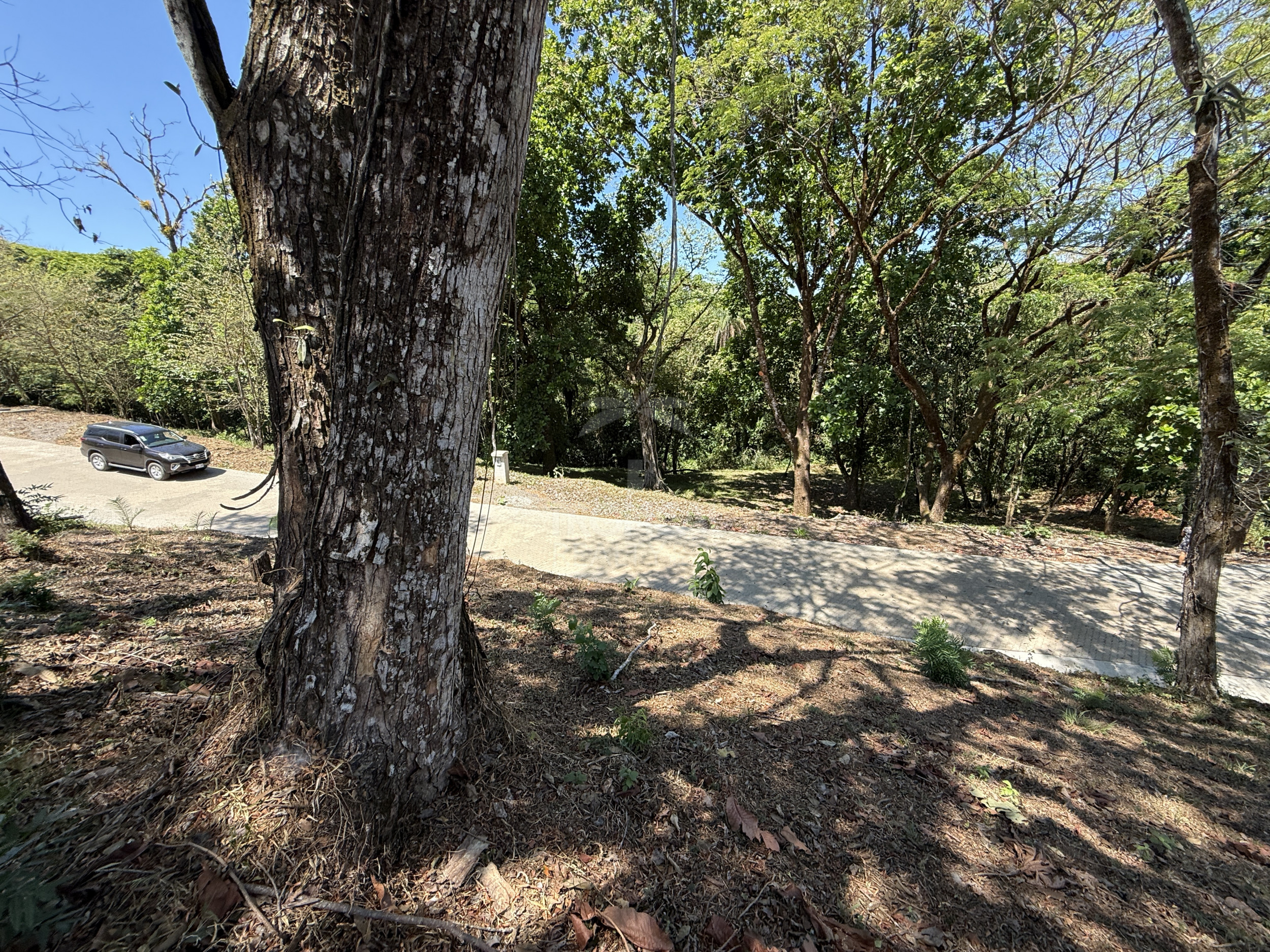 Corner Lot for Sale in Ecovilla San Mateo – Nature, Community & Conscious Living