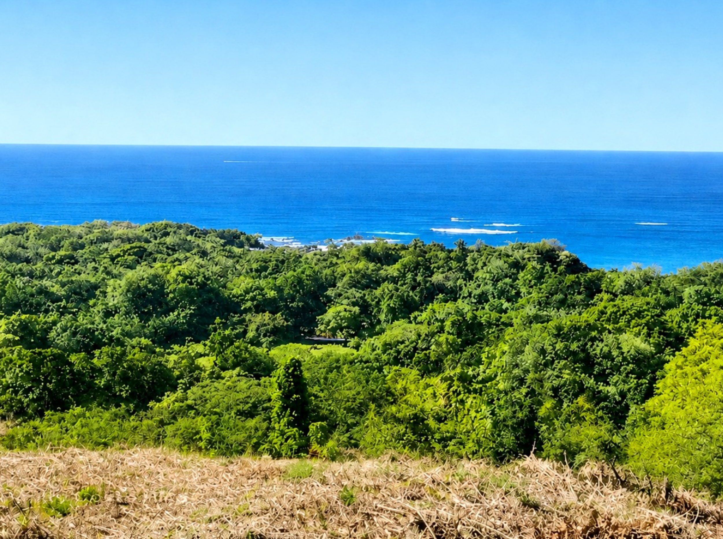 Land near the beach Costa Rica for development