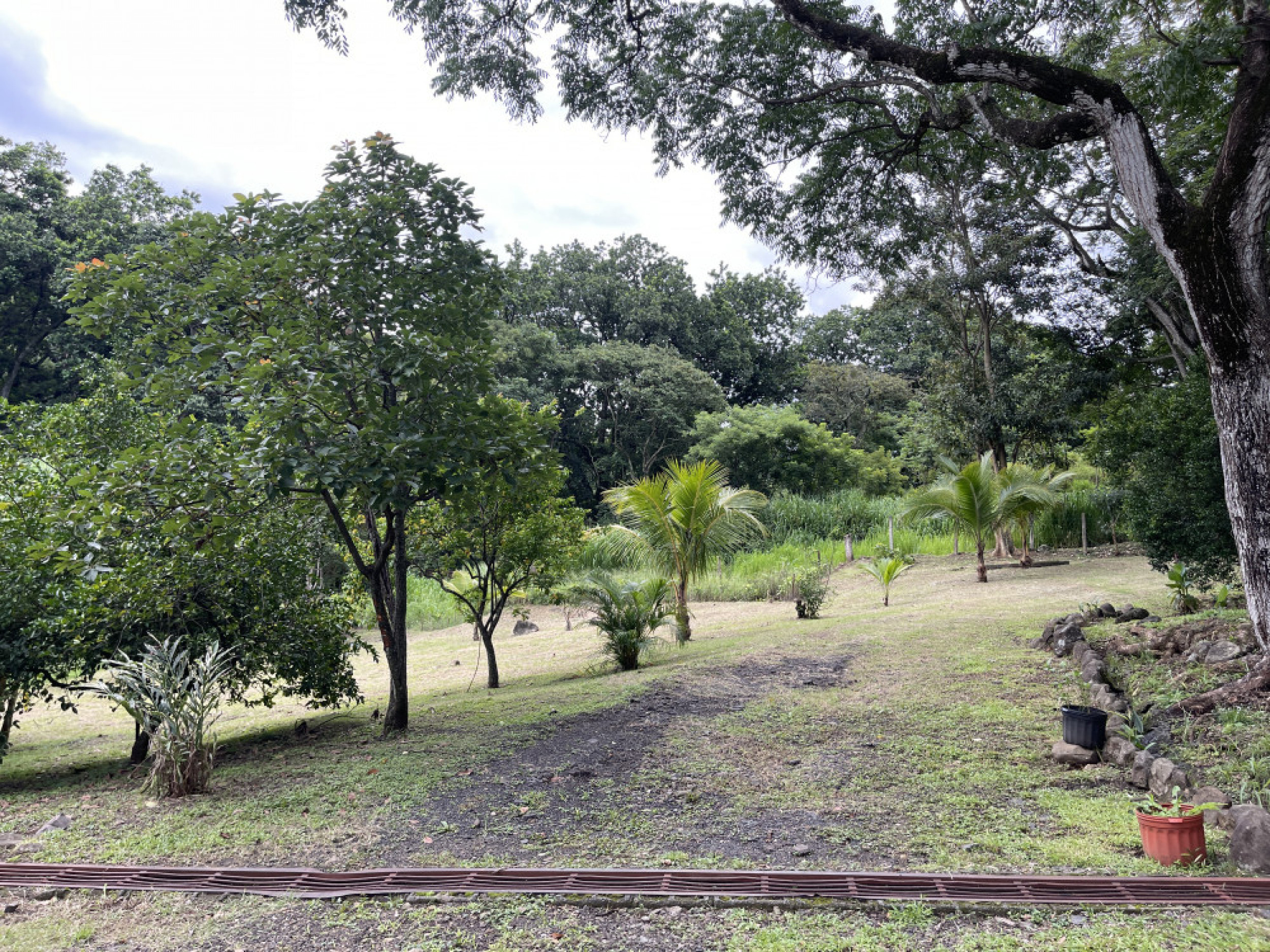 Dreamy Natural Retreat with Private River and Fruit Trees – Turrúcares, Costa Rica
