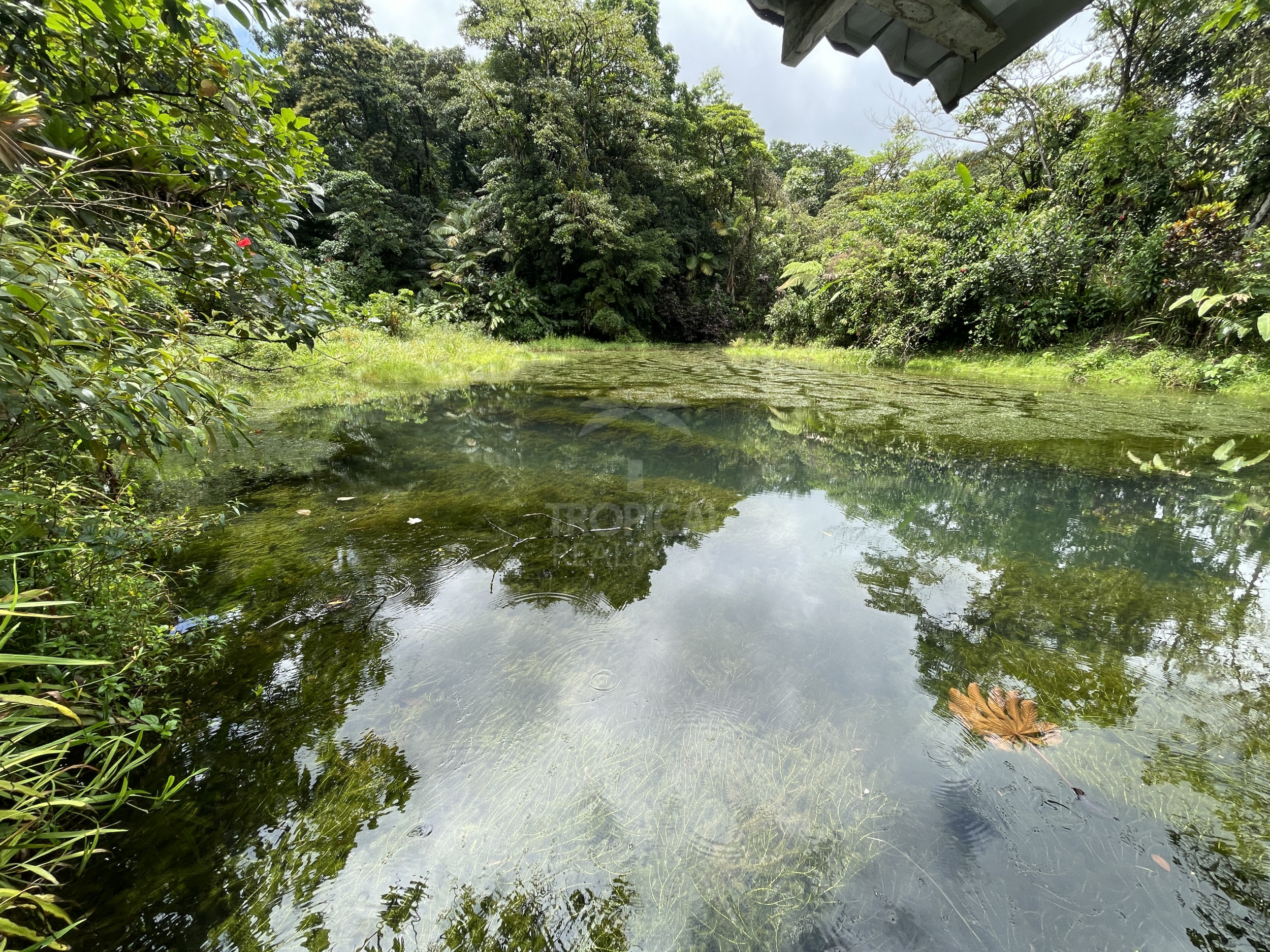 65-Acre Estate with Canopy Tour, Two Homes, horses, and Build-Ready Platforms
