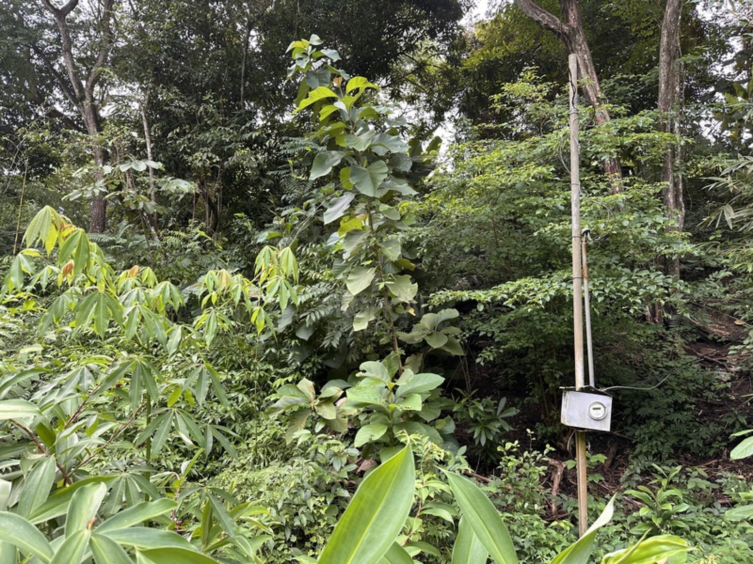 Commercial & Tourism Development Lot for Sale in Manzanillo, Costa Rica – Prime Location Near the Beach