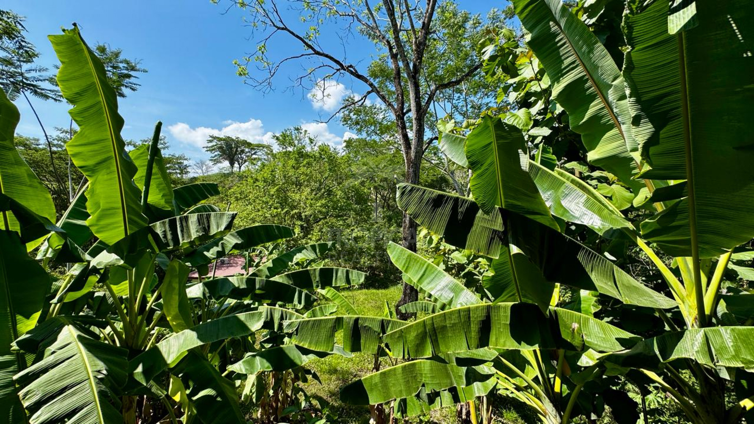 Charming One-Bedroom Home with Pool in Santiago – Just Minutes from Playa Hermosa
