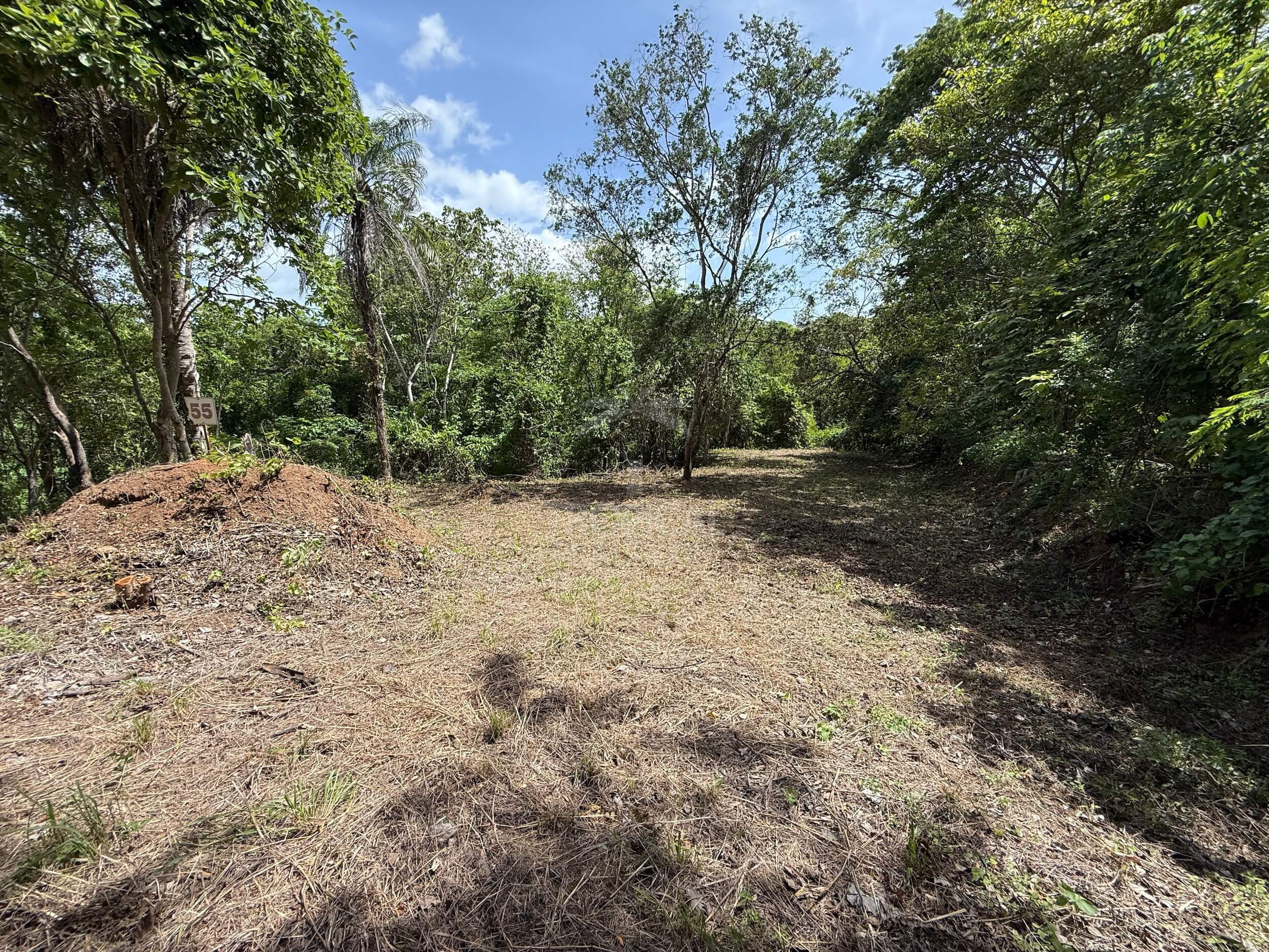 Exclusive 5,376 m² Macro-Lot: Your Private Nature Sanctuary in Lomas Del Mar, Guanacaste