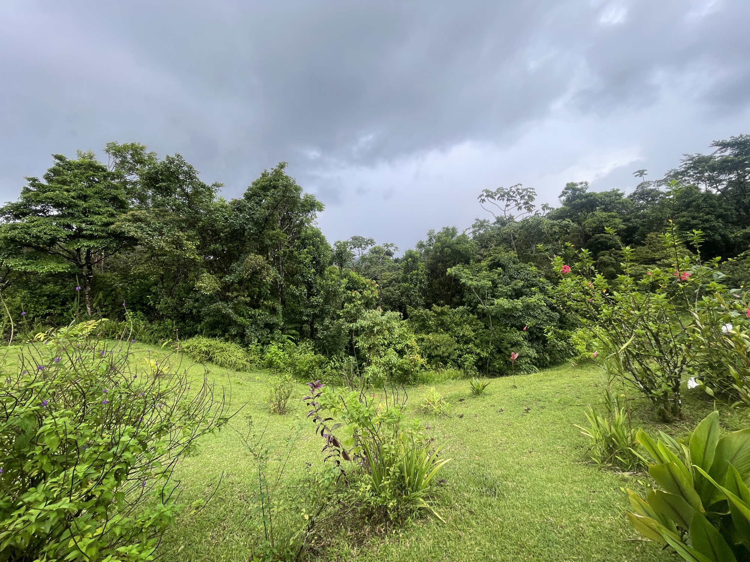 65-Acre Lakeview Property in Nuevo Arenal, Ideal for Family Residential Development