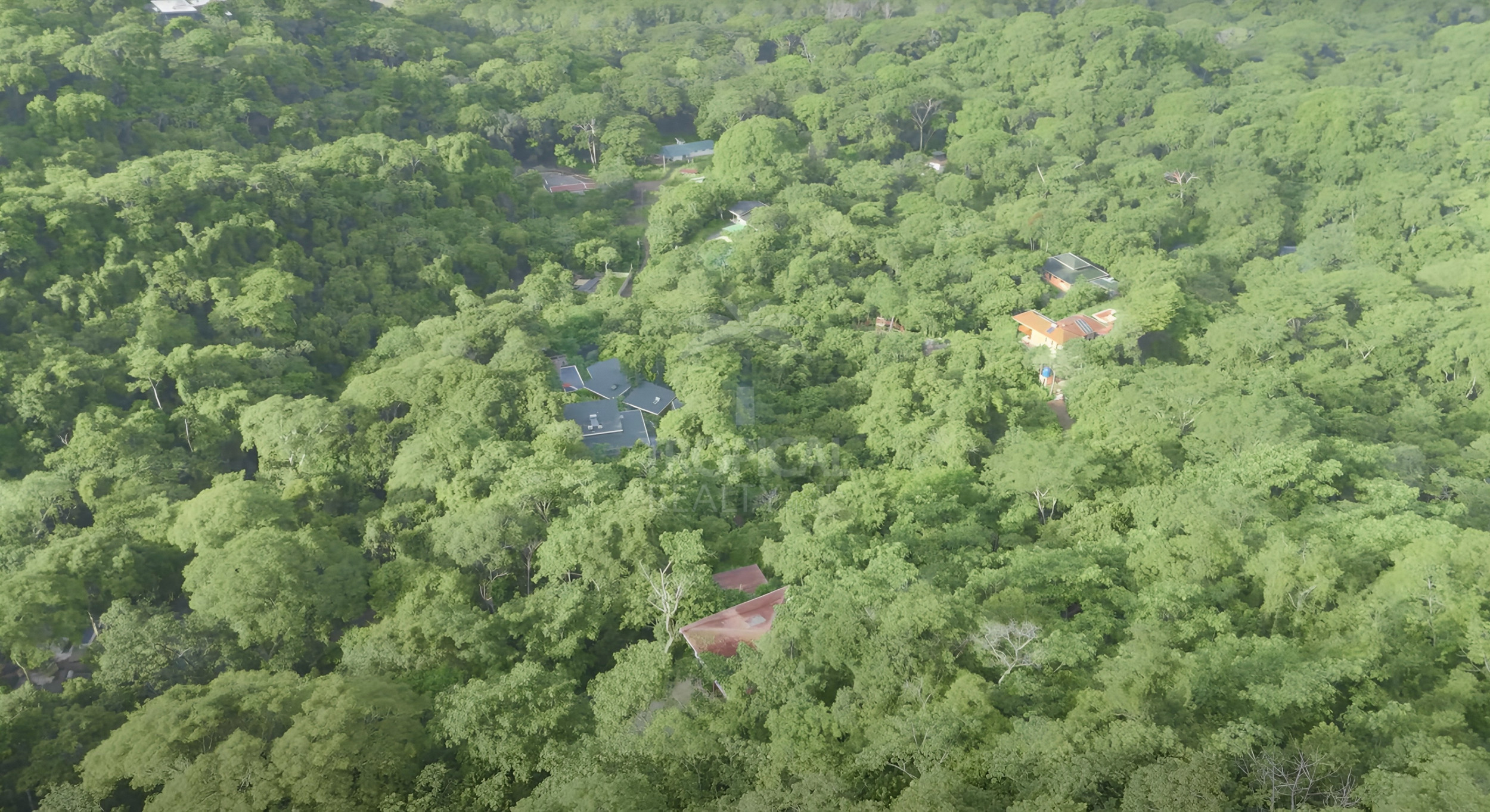 Ocean View or forest view homes in Gated Community | Prime Location, Exceptional Value