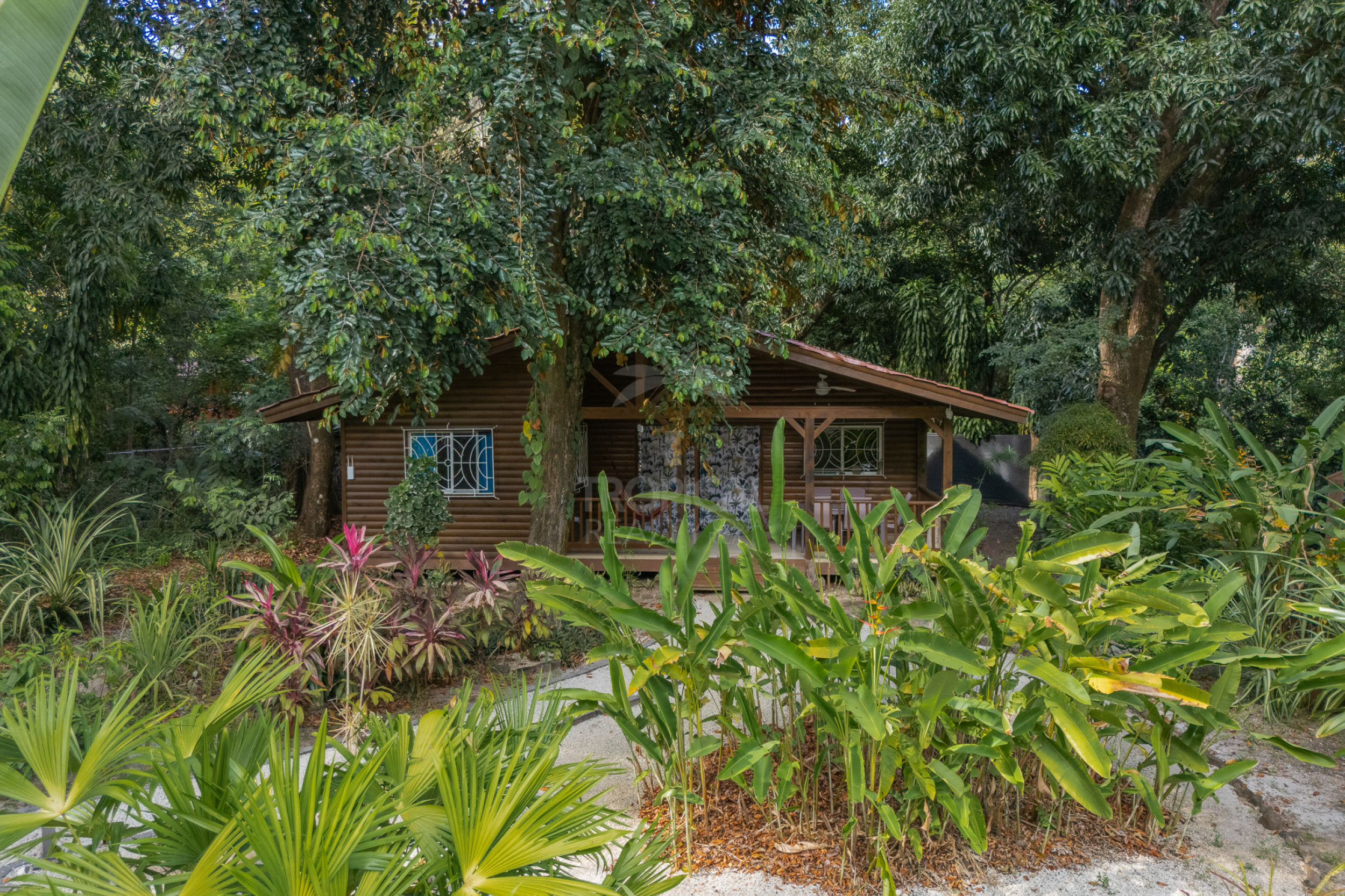 Cabañas en Venta en Montezuma | Inversión Turnkey cerca de Los Cedros