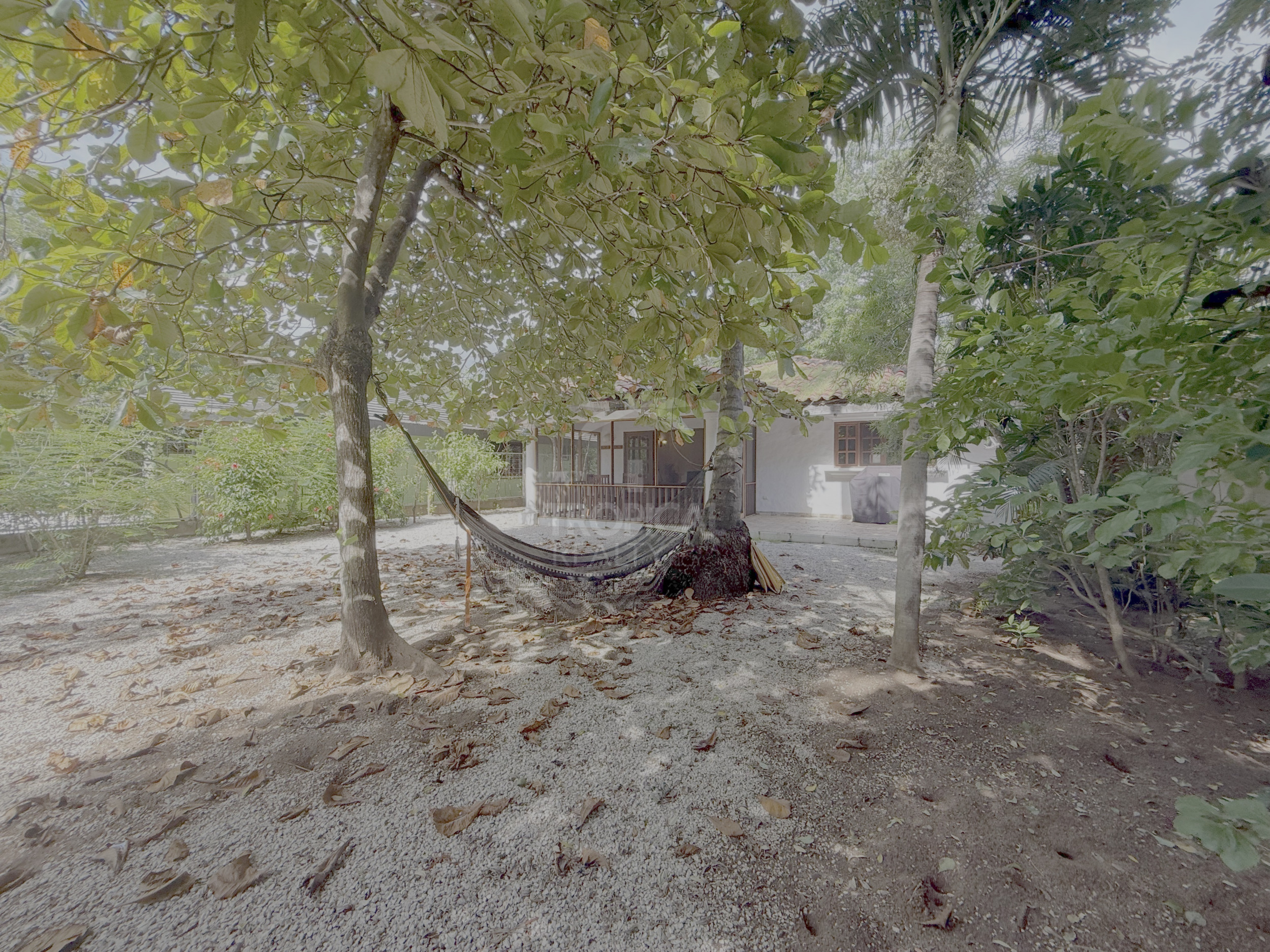 Oceanfront House for Rent in Playa Grande, With Direct Beach Access