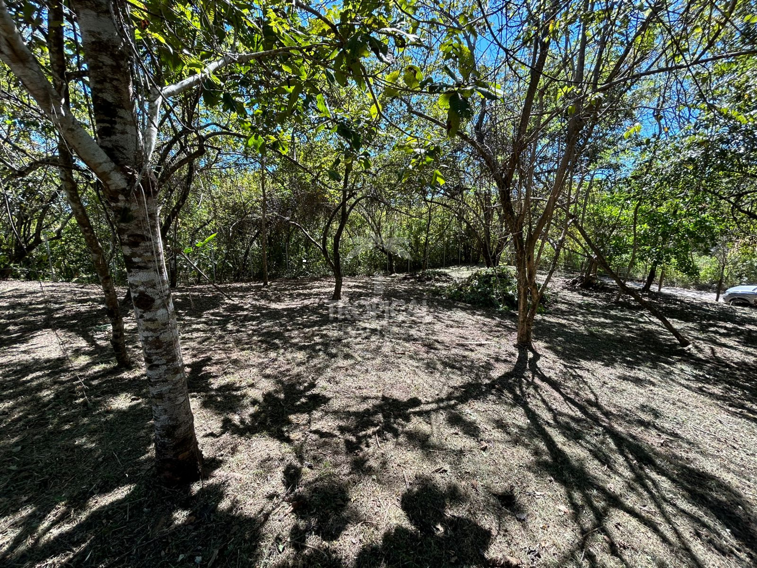 1000m² Lot for Sale in Las Delicias de Cobano: Your Coastal Oasis in Costa Rica.