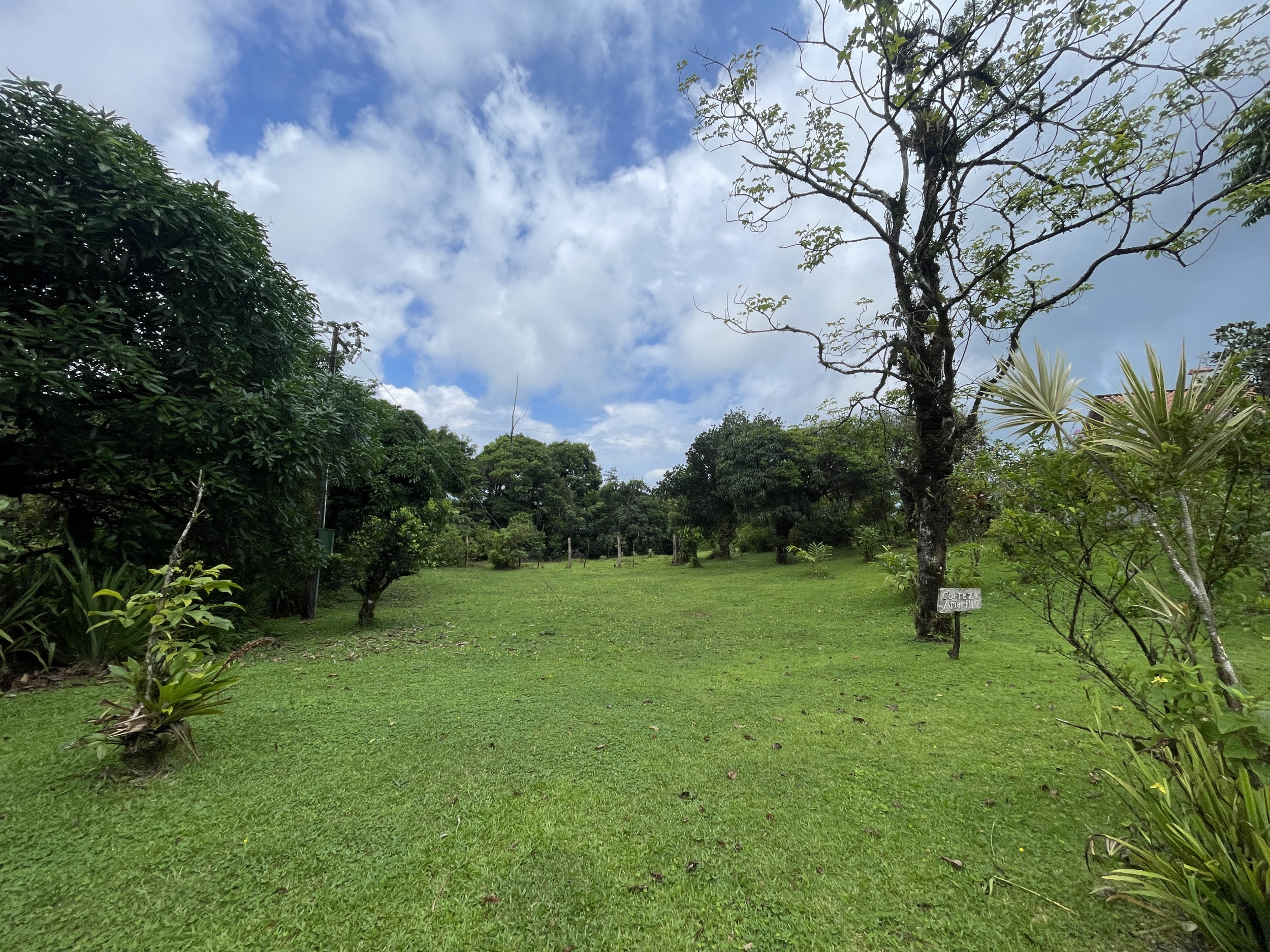 65-Acre Lakeview Property in Nuevo Arenal, Ideal for Family Residential Development