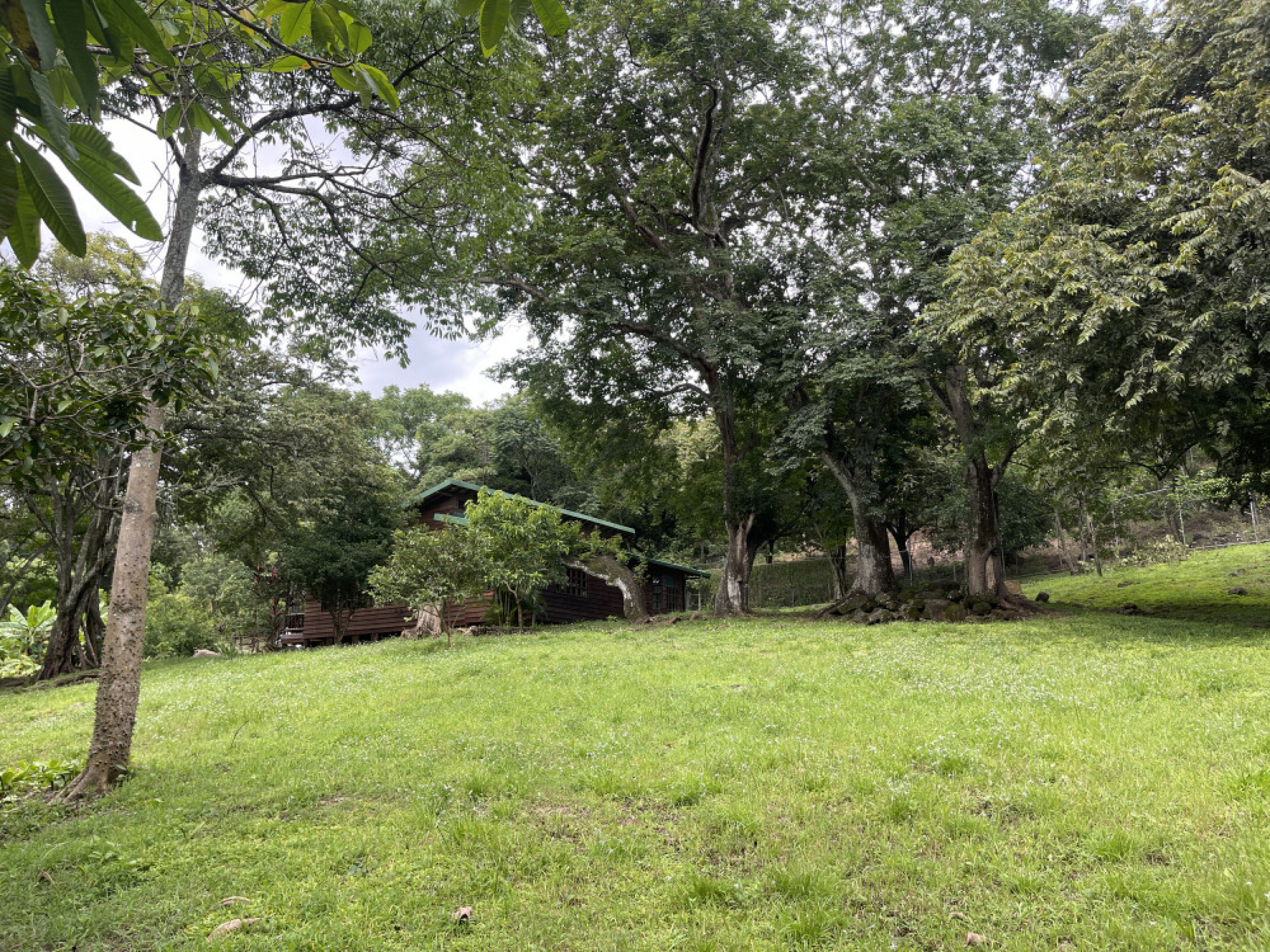 Dreamy Natural Retreat with Private River and Fruit Trees – Turrúcares, Costa Rica