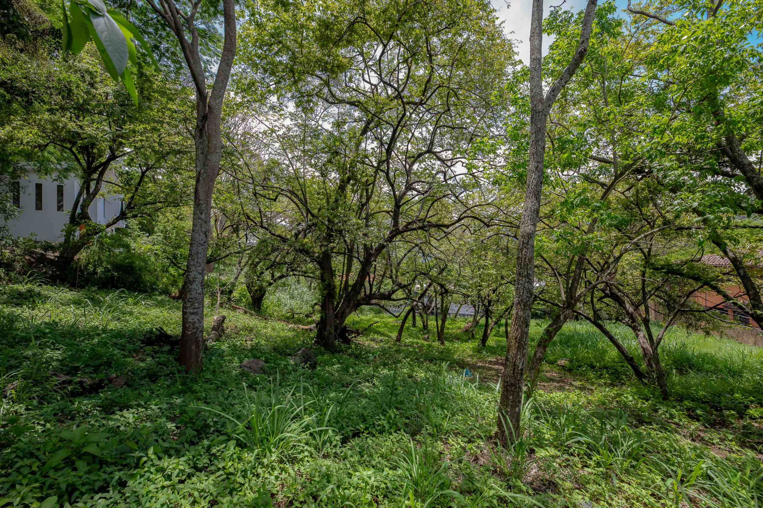 Residential Private Lush Lot in Rio Oro , Santa Ana