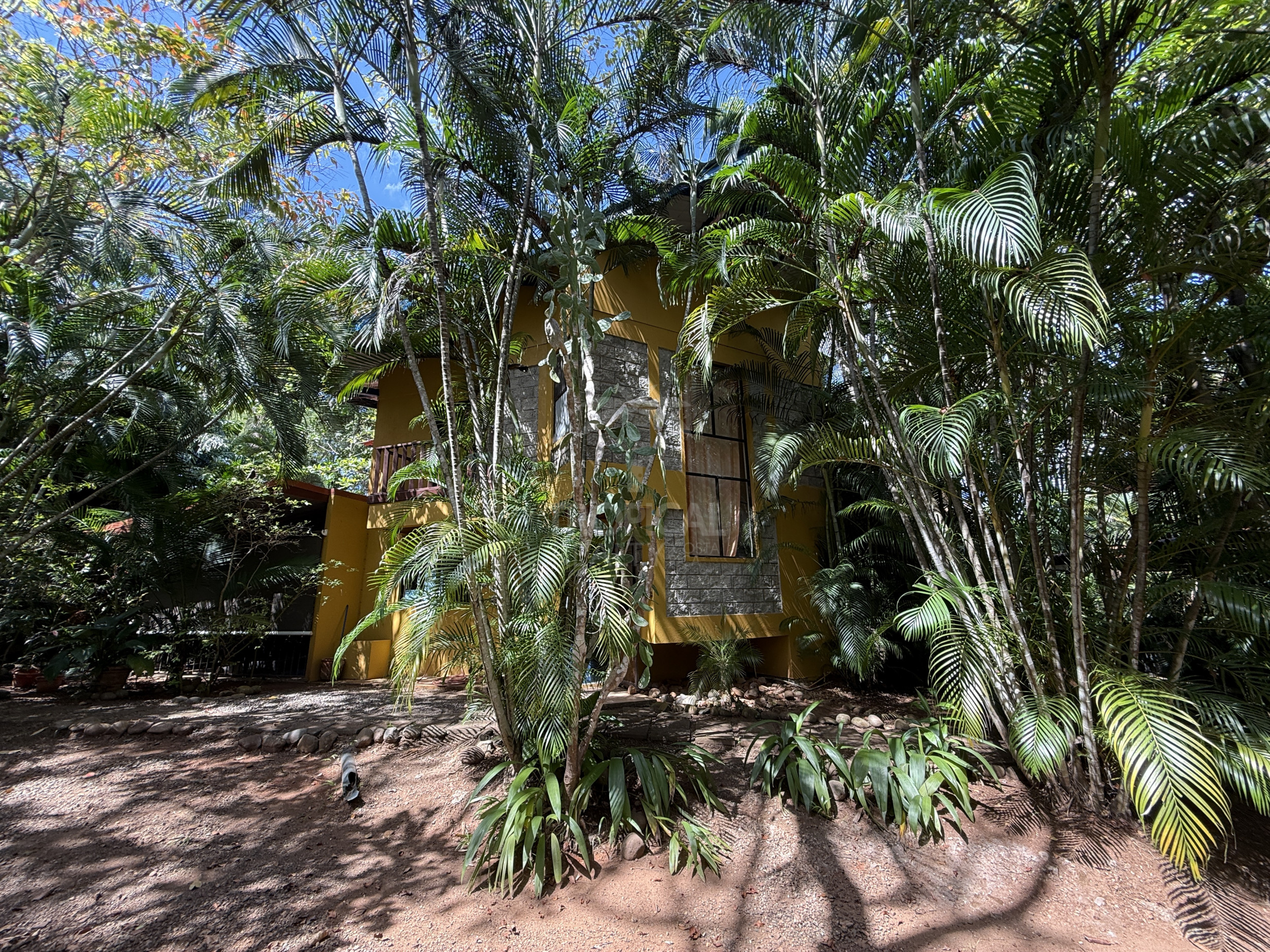 Property for sale with 3 houses and a cabin in Esparza!