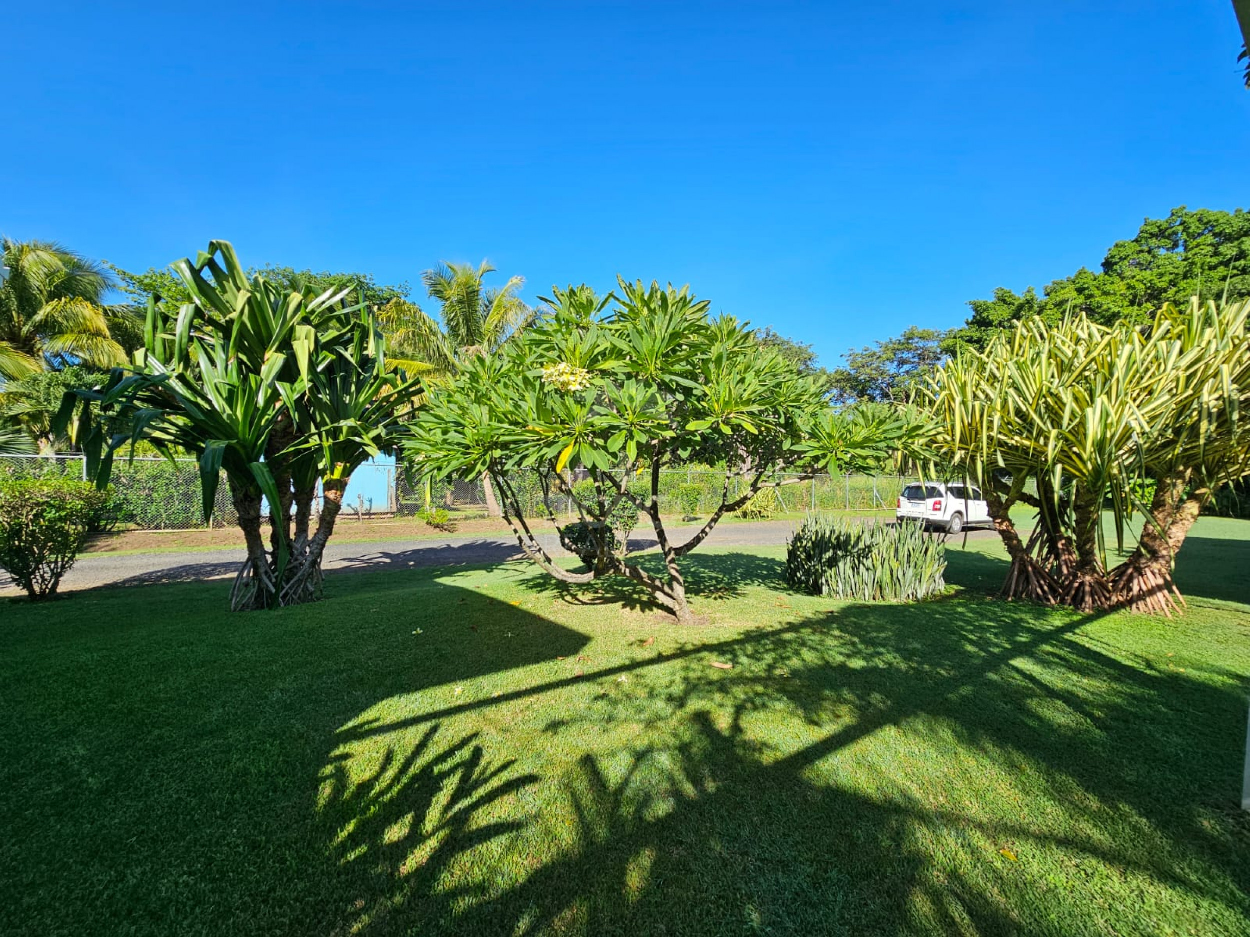Luxury Bed & Breakfast Estate for Sale Near Playa Tamarindo – Prime Investment Opportunity