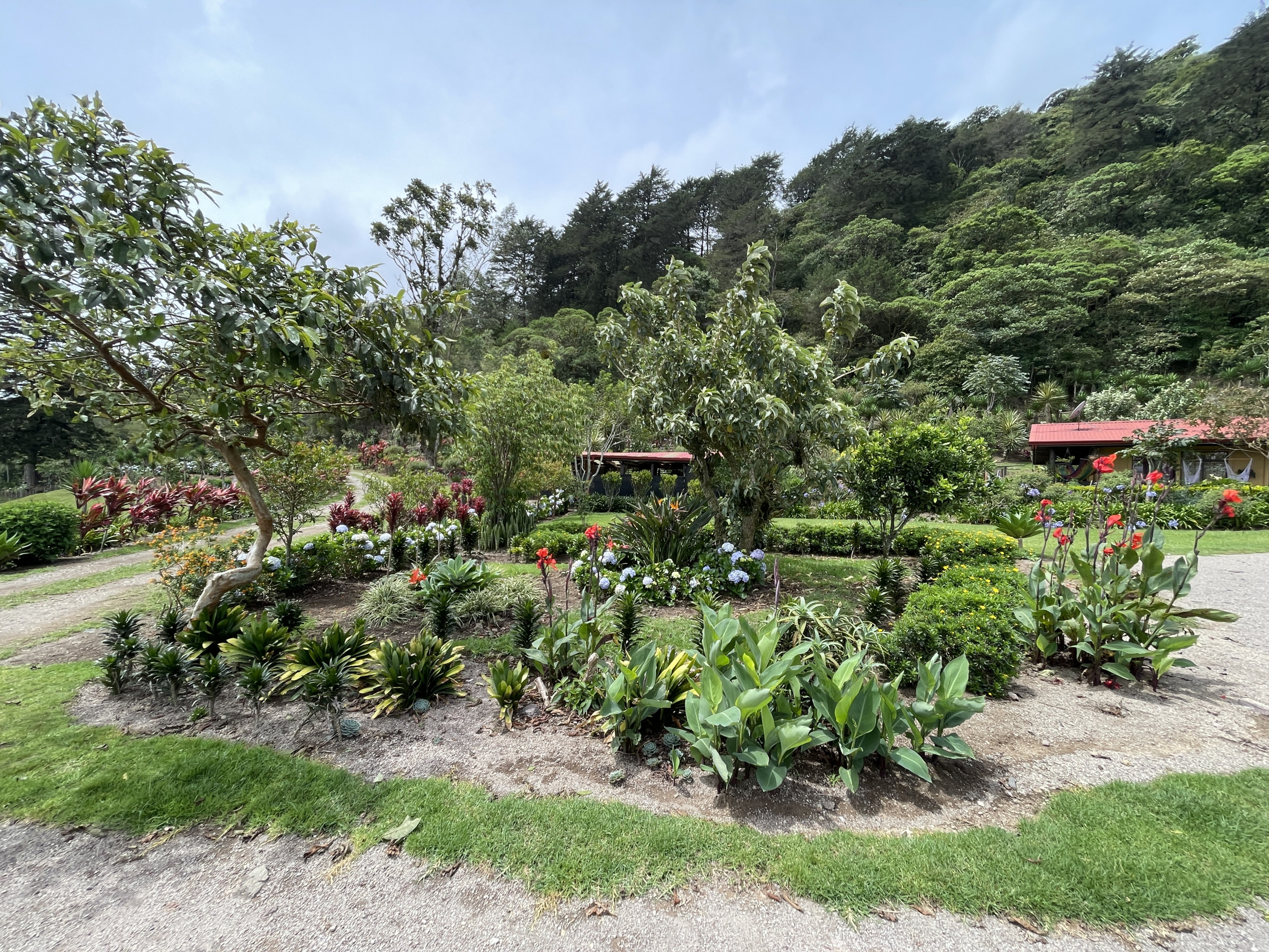 Charming Coffee Retreat Home with Stunning Views and Gourmet Coffee Plantations