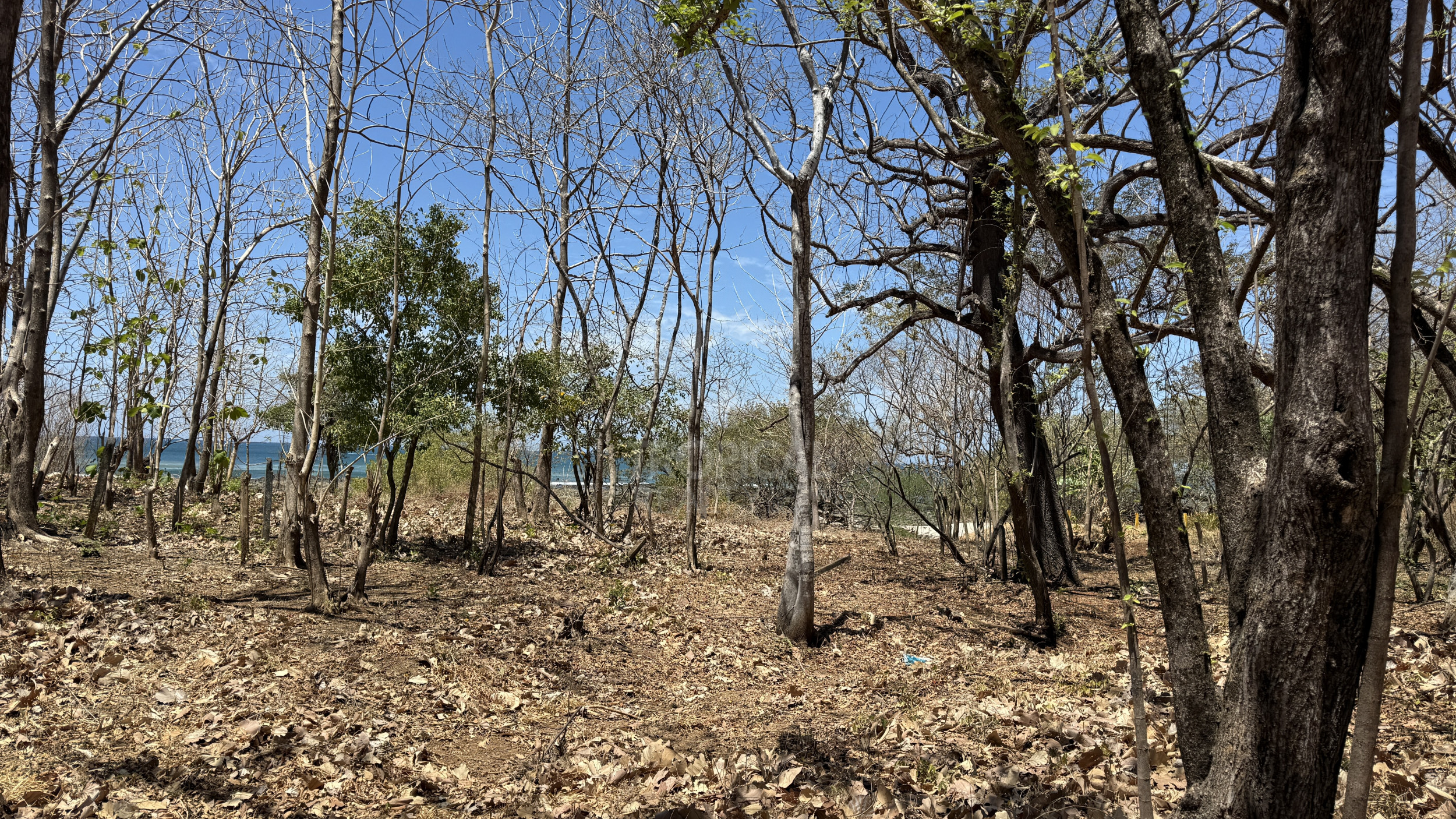 Unique Investment Opportunity – Beachfront Lot for Sale in Guanacaste