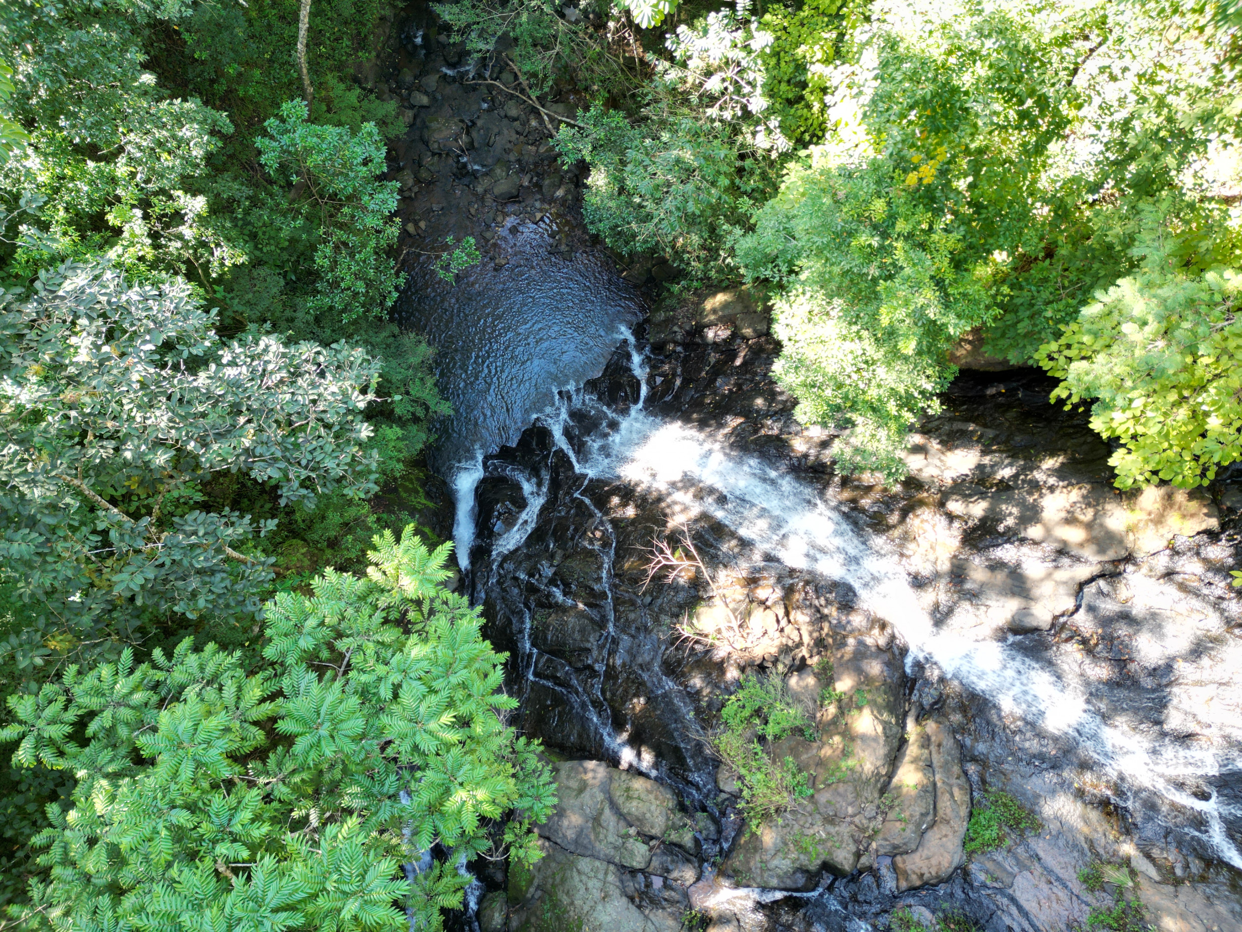 Spectacular Farm for Sale in Cobano, Puntarenas: Ocean Views to Santa Teresa, Lush Nature, and Included Waterfall