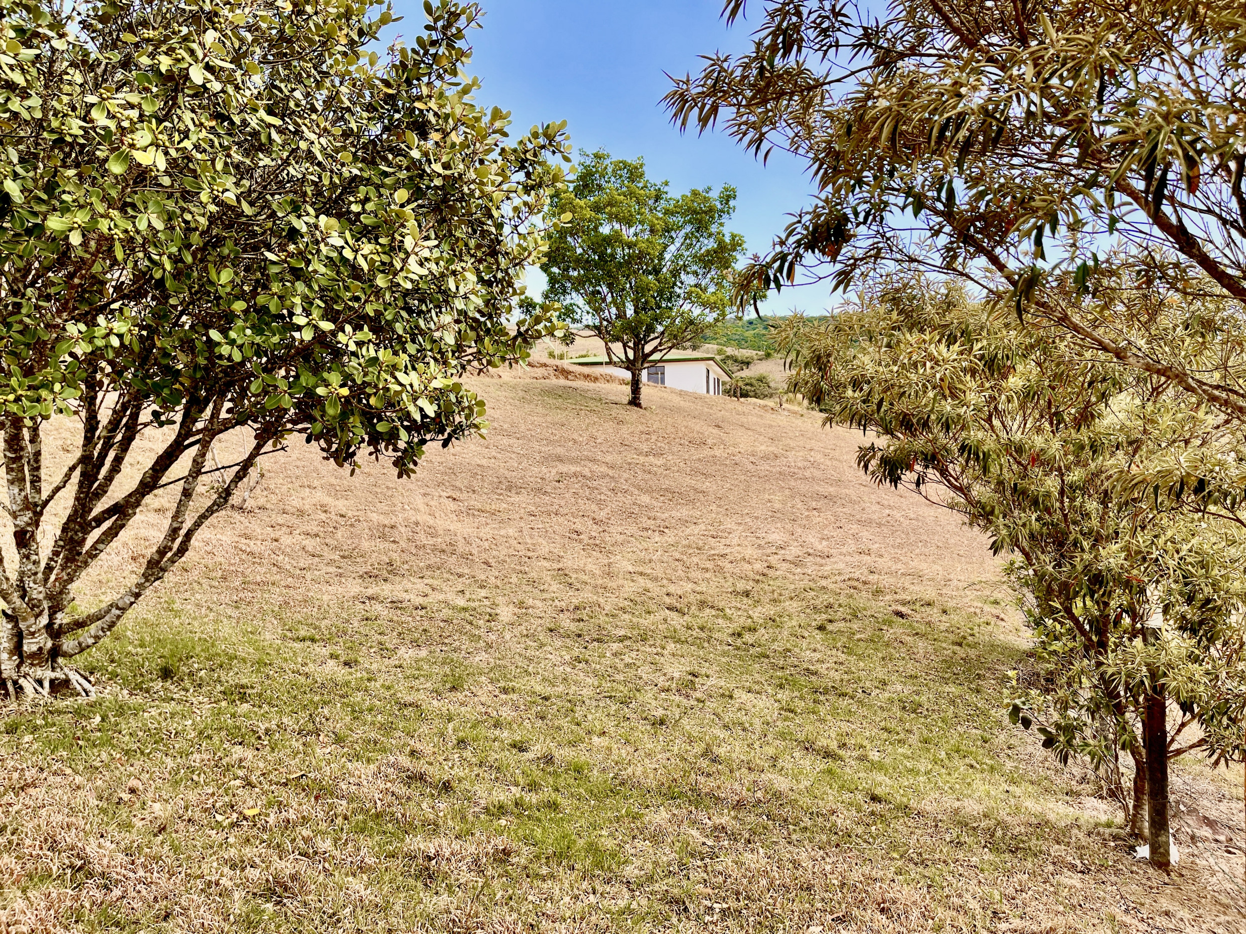 Last Chance: Scenic Lot in San Ramón for Only $69,000 – Urgent Sale!