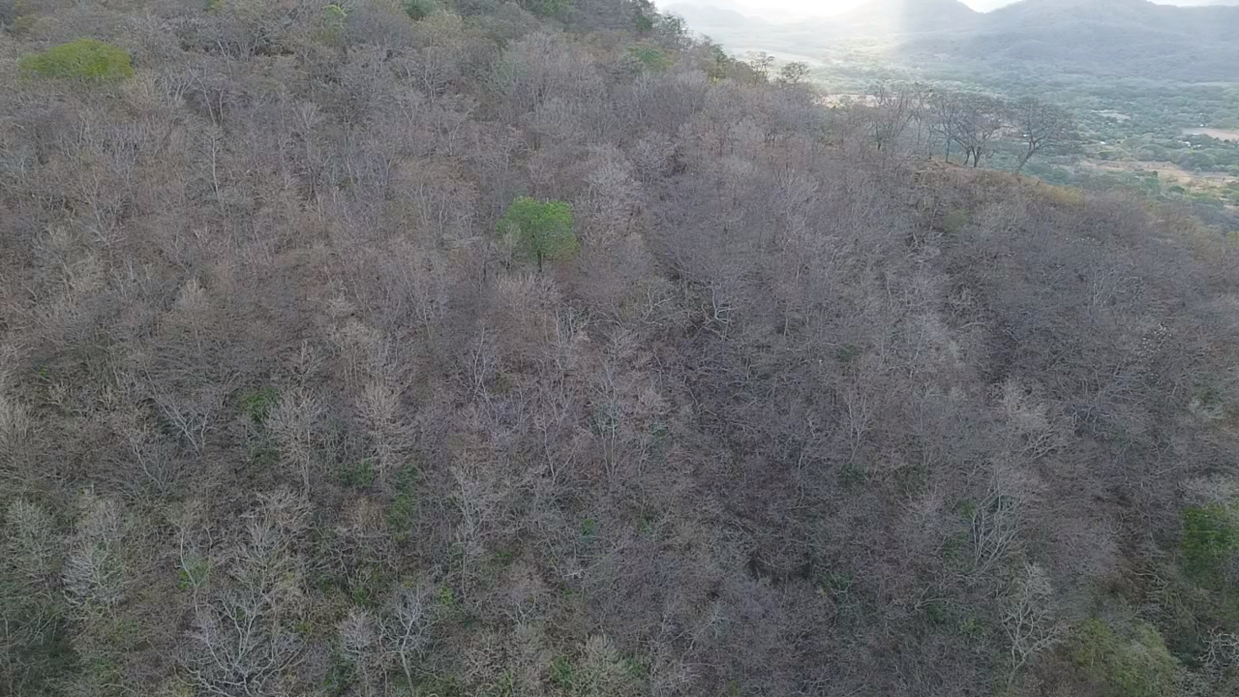 153-Hectare Ranch for Sale in Santa Cruz, Guanacaste – Natural Springs, Forest & Development Potential | $1,000,000