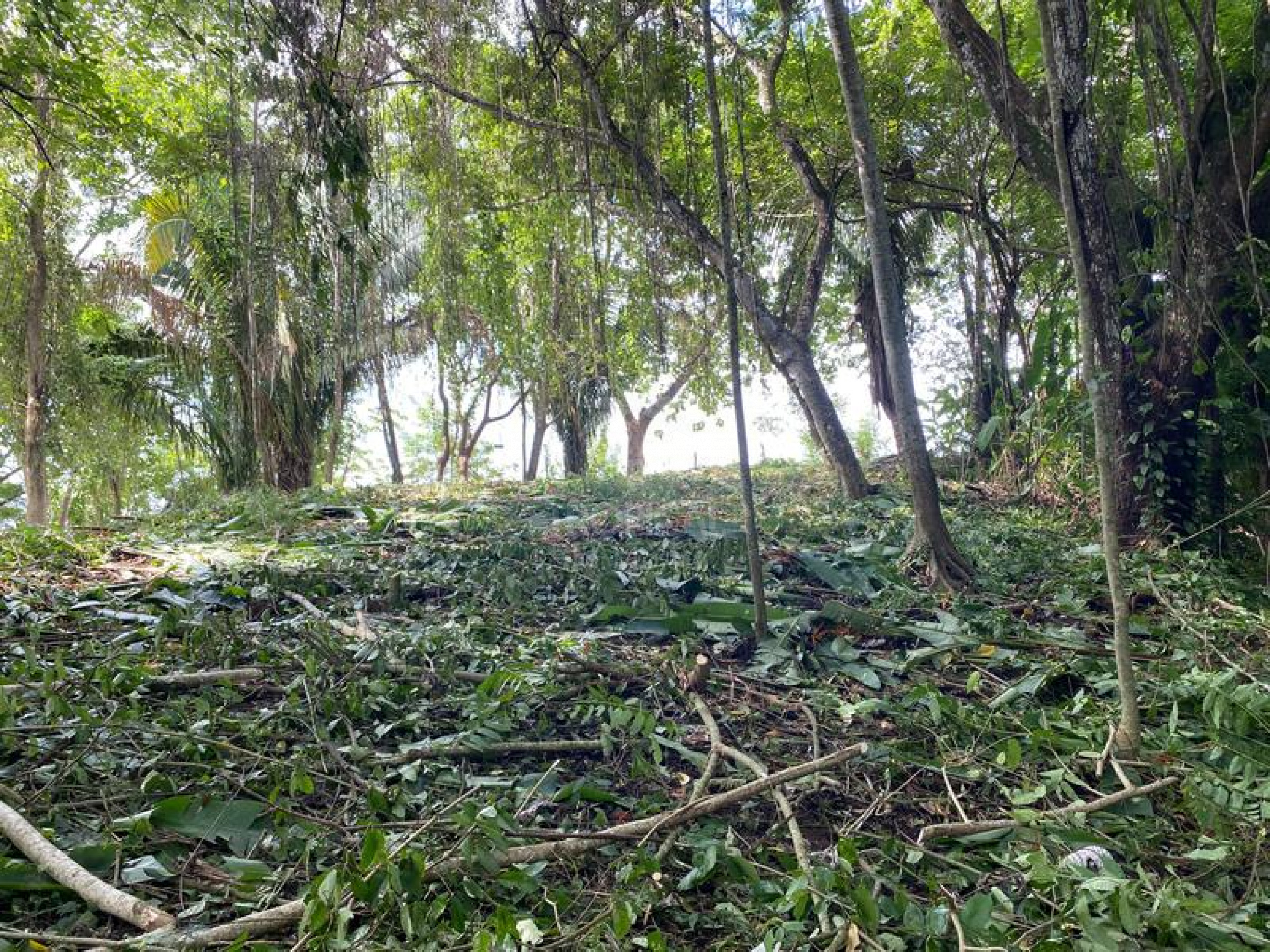 Strategic Commercial Lot in Cabuya – High Visibility and Outstanding Development Potential
