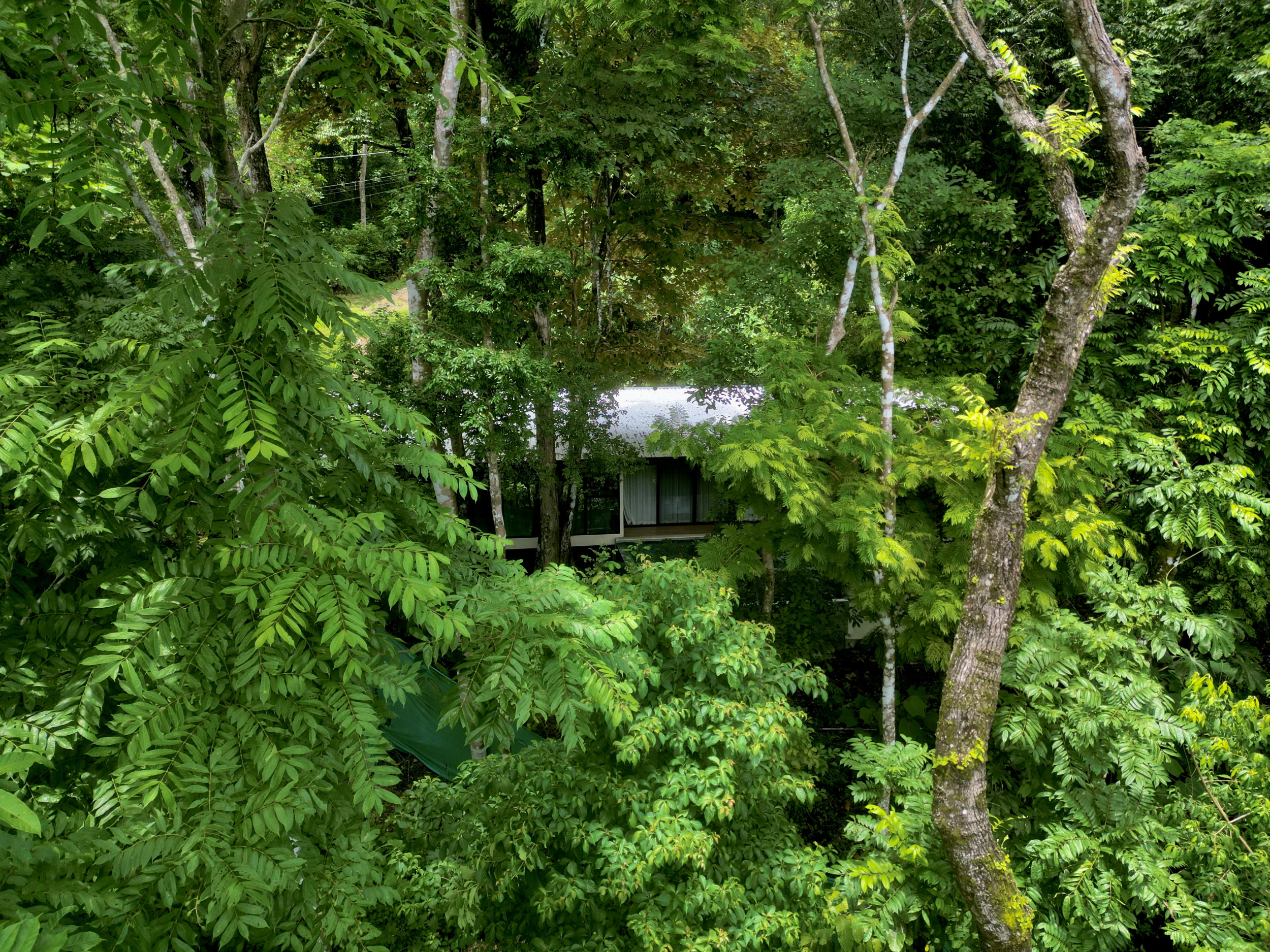 Modern Retreat Surrounded by Lush Nature in Santa Teresa