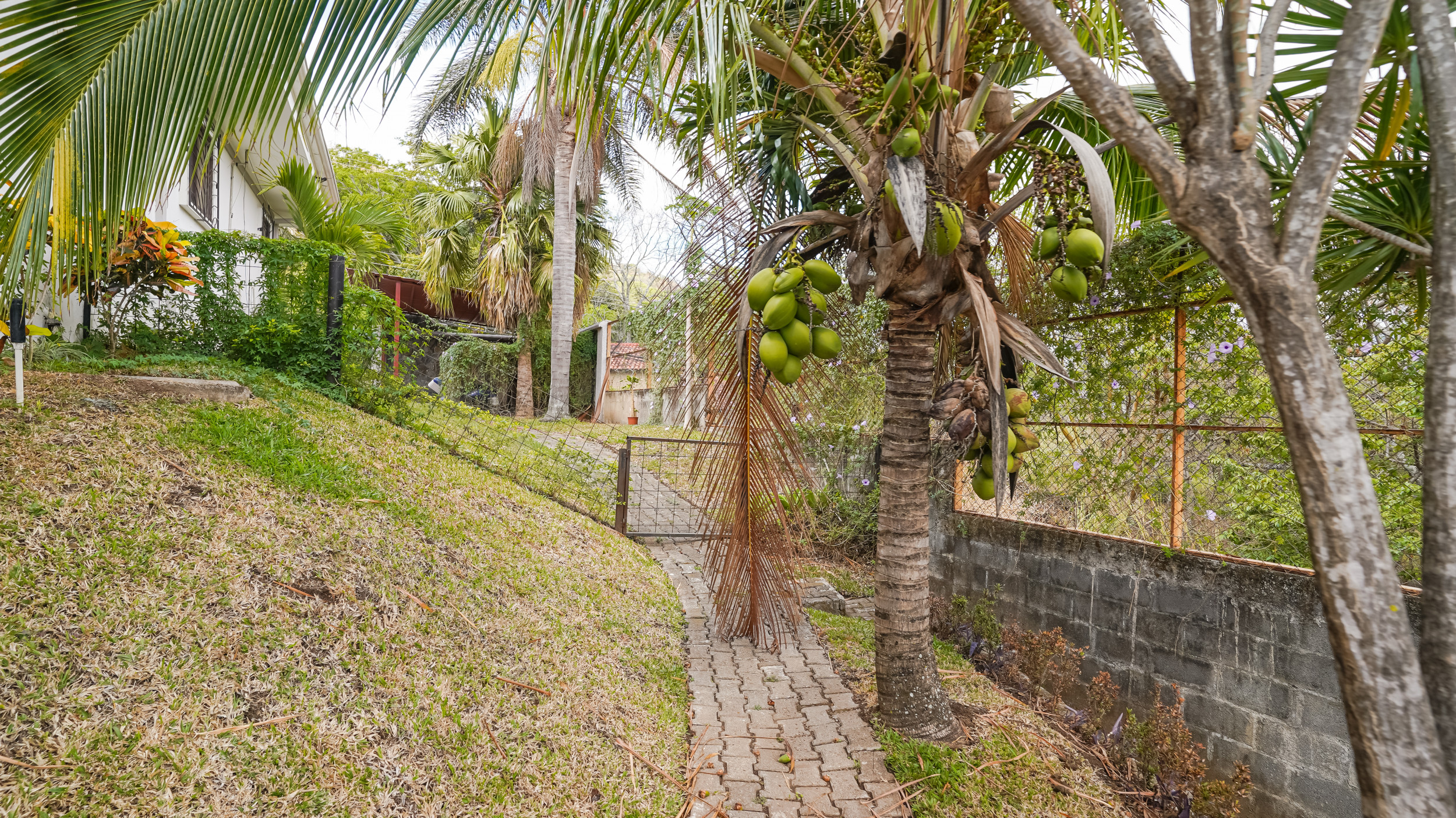 Piedades, Santa Ana, house for rent or sale, with pool