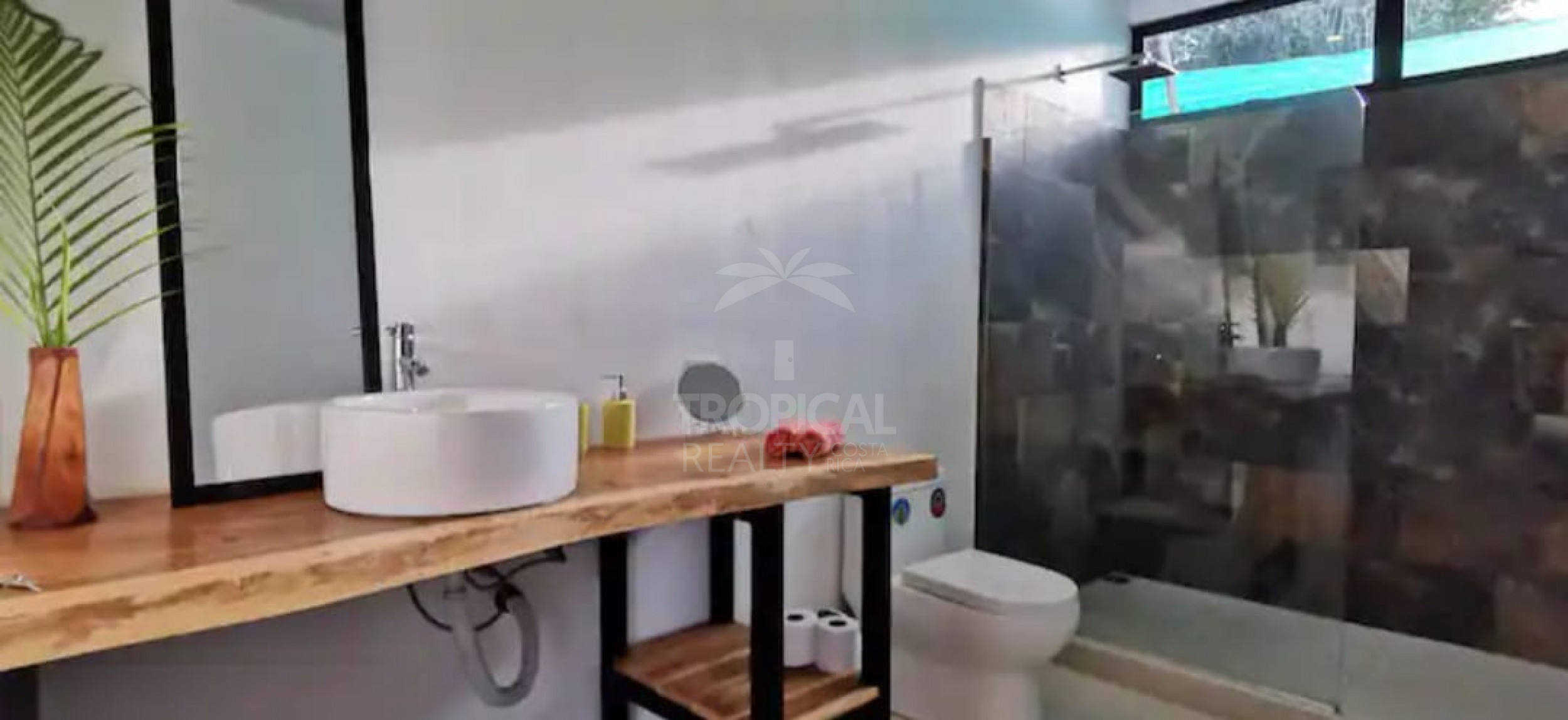 Santa Teresa beach Real Estate