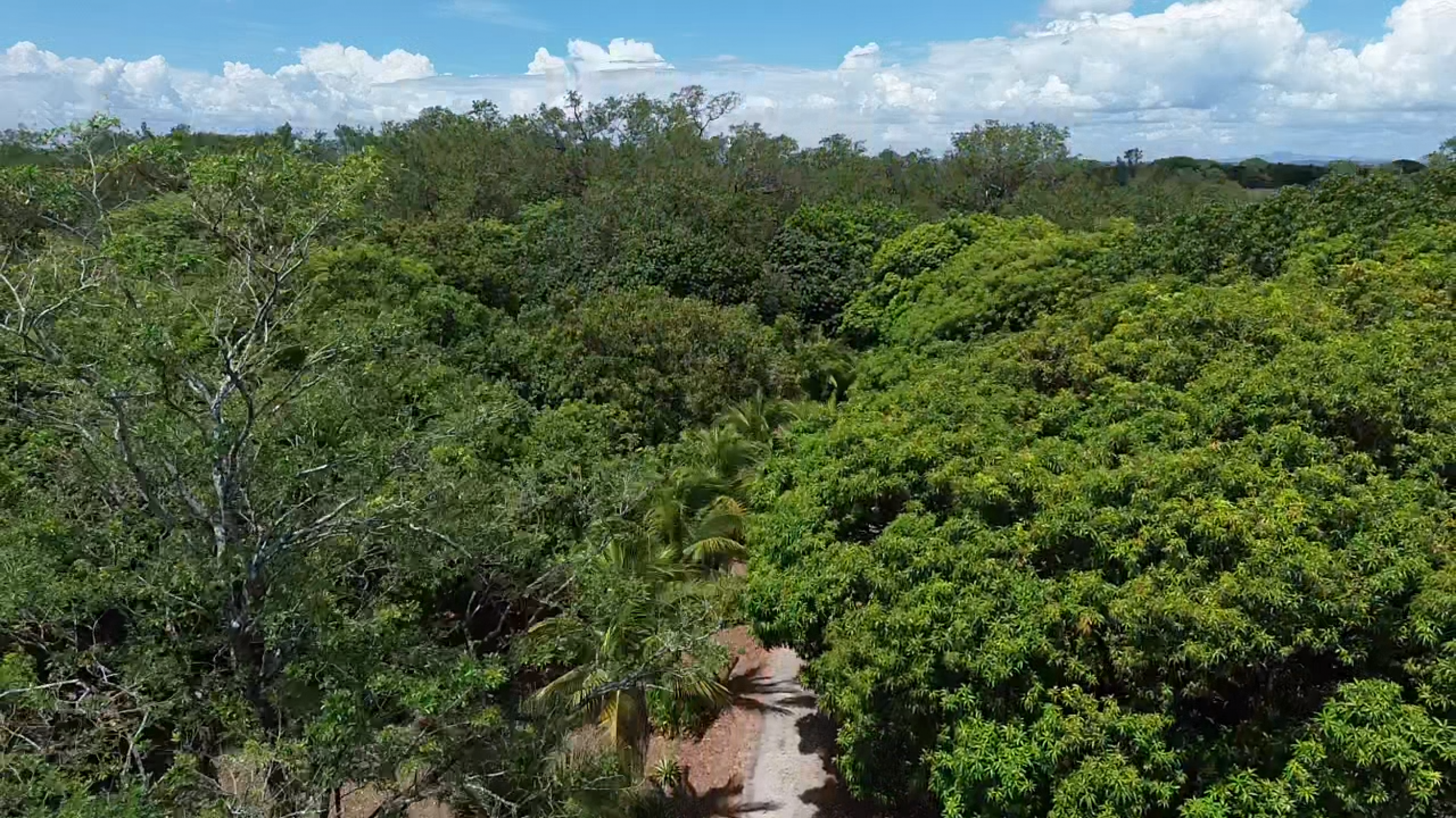Exclusive Estate for Sale in Liberia, Guanacaste – Natural Oasis with Creek & Tourism Potential