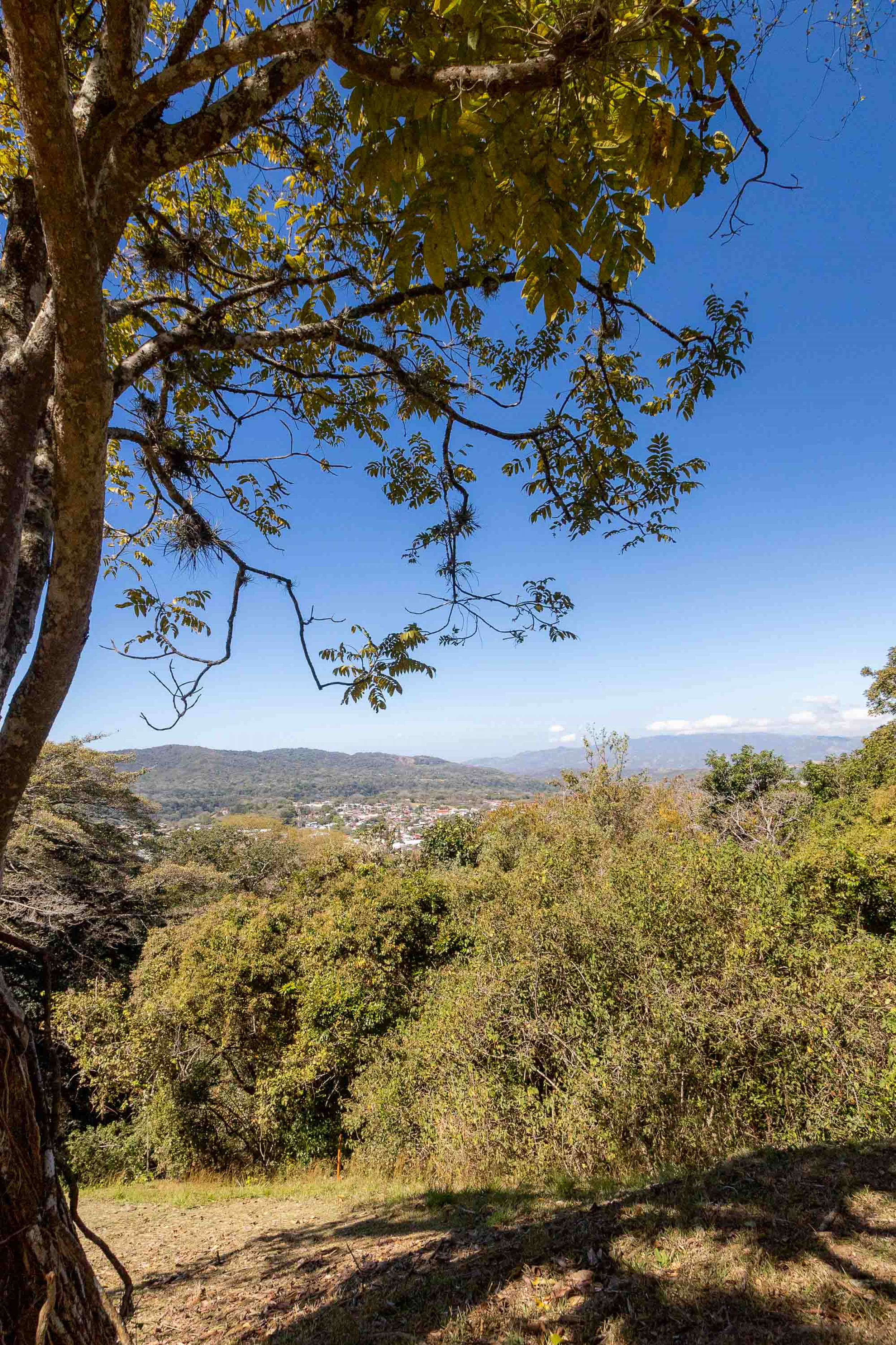 Stunning Lot with Views in Cerro Colón, Ciudad Colón