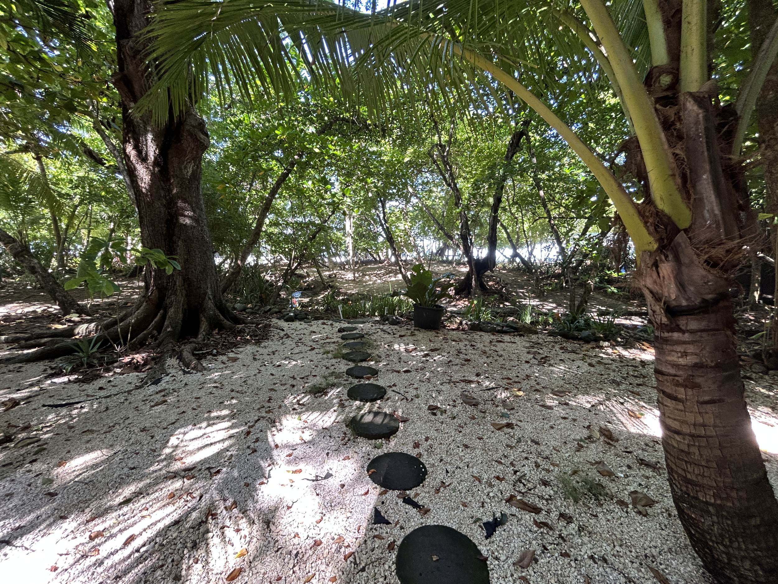 Beachfront house for rent in Santa Teresa
