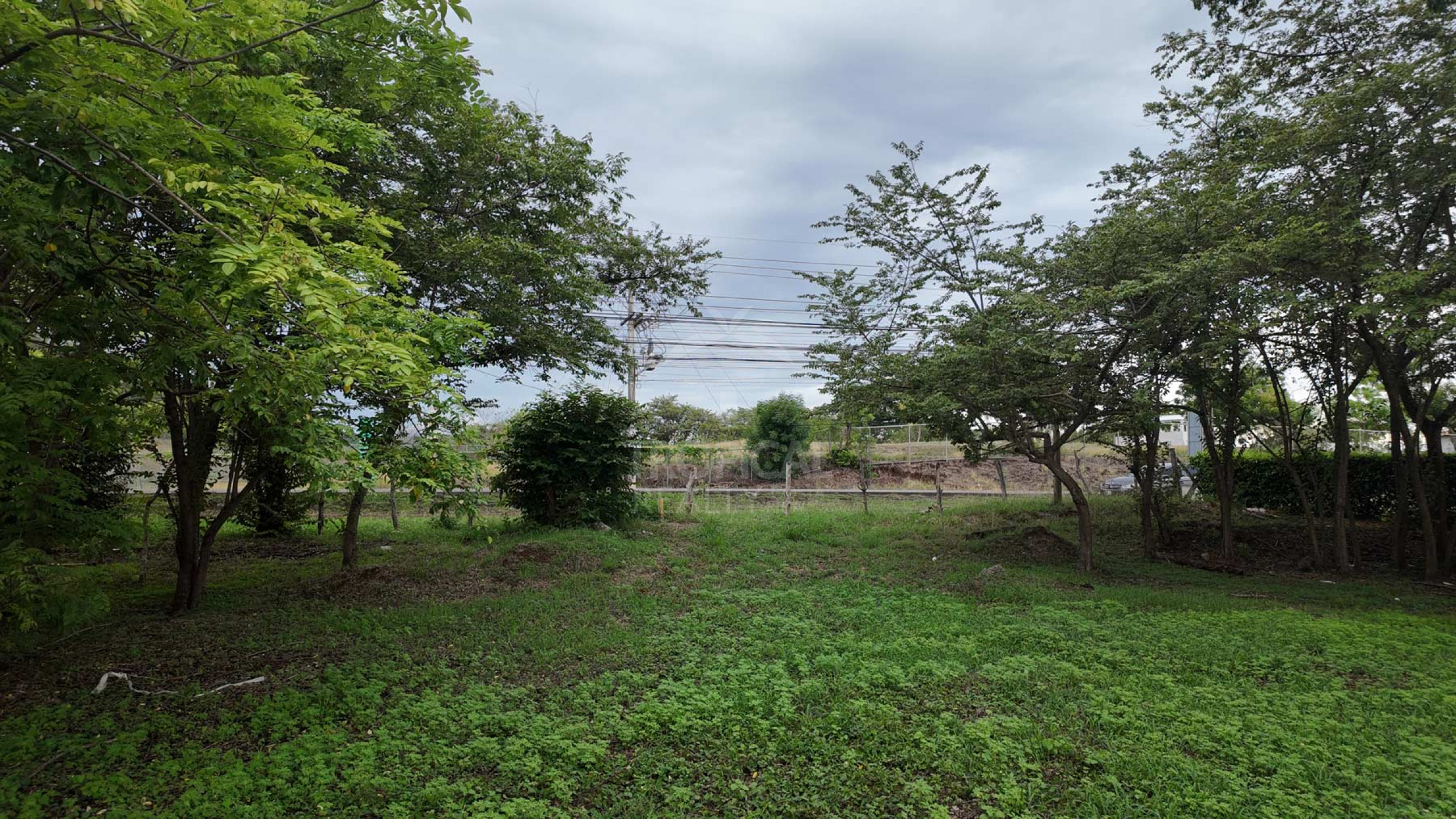 Prime Development Lots in Villarreal – Commercial & Residential Investment Opportunity