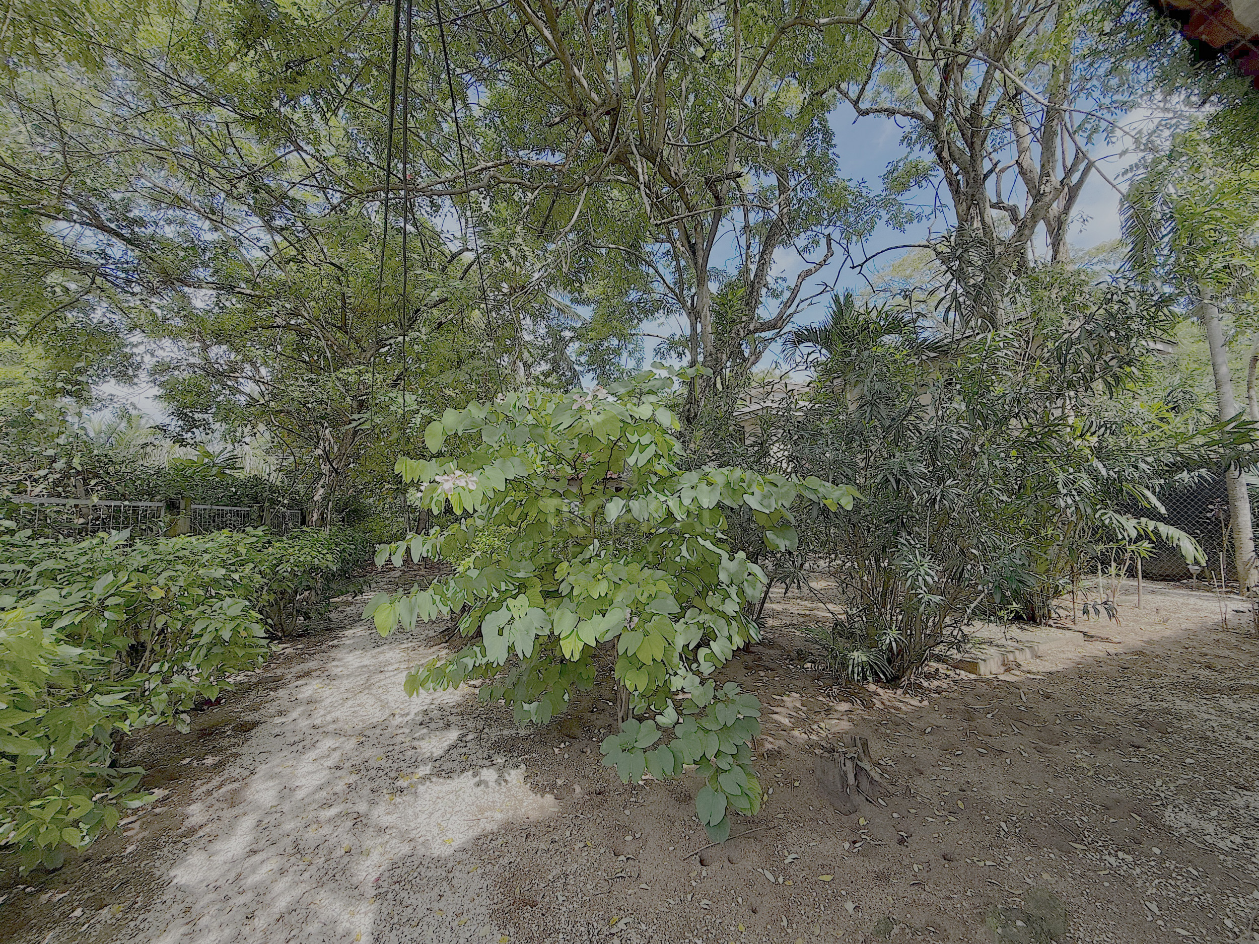 Oceanfront House for Rent in Playa Grande, With Direct Beach Access