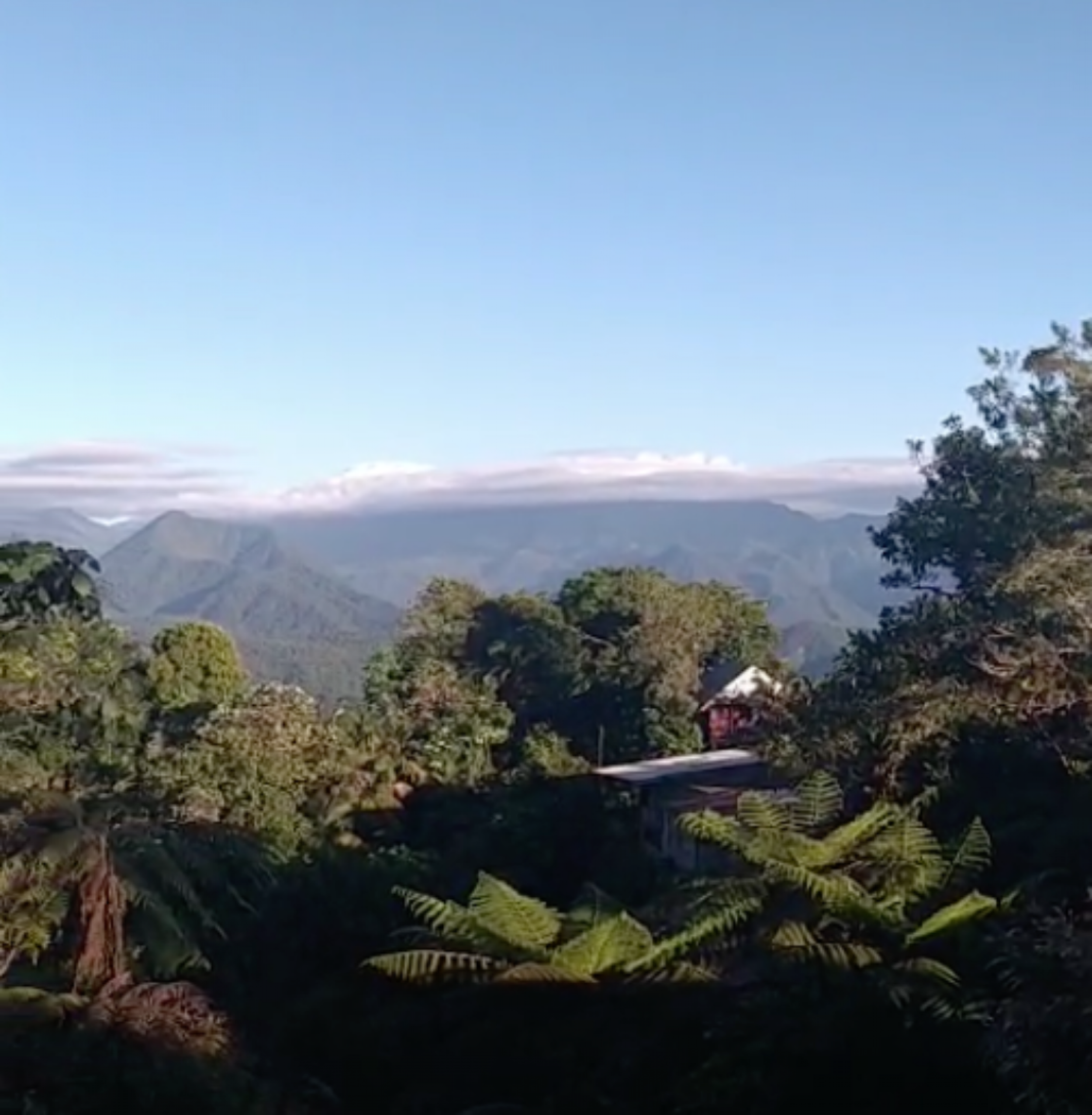 Rustic House for Sale with Views and Creeks – Monserrat de Coronado |SOLD