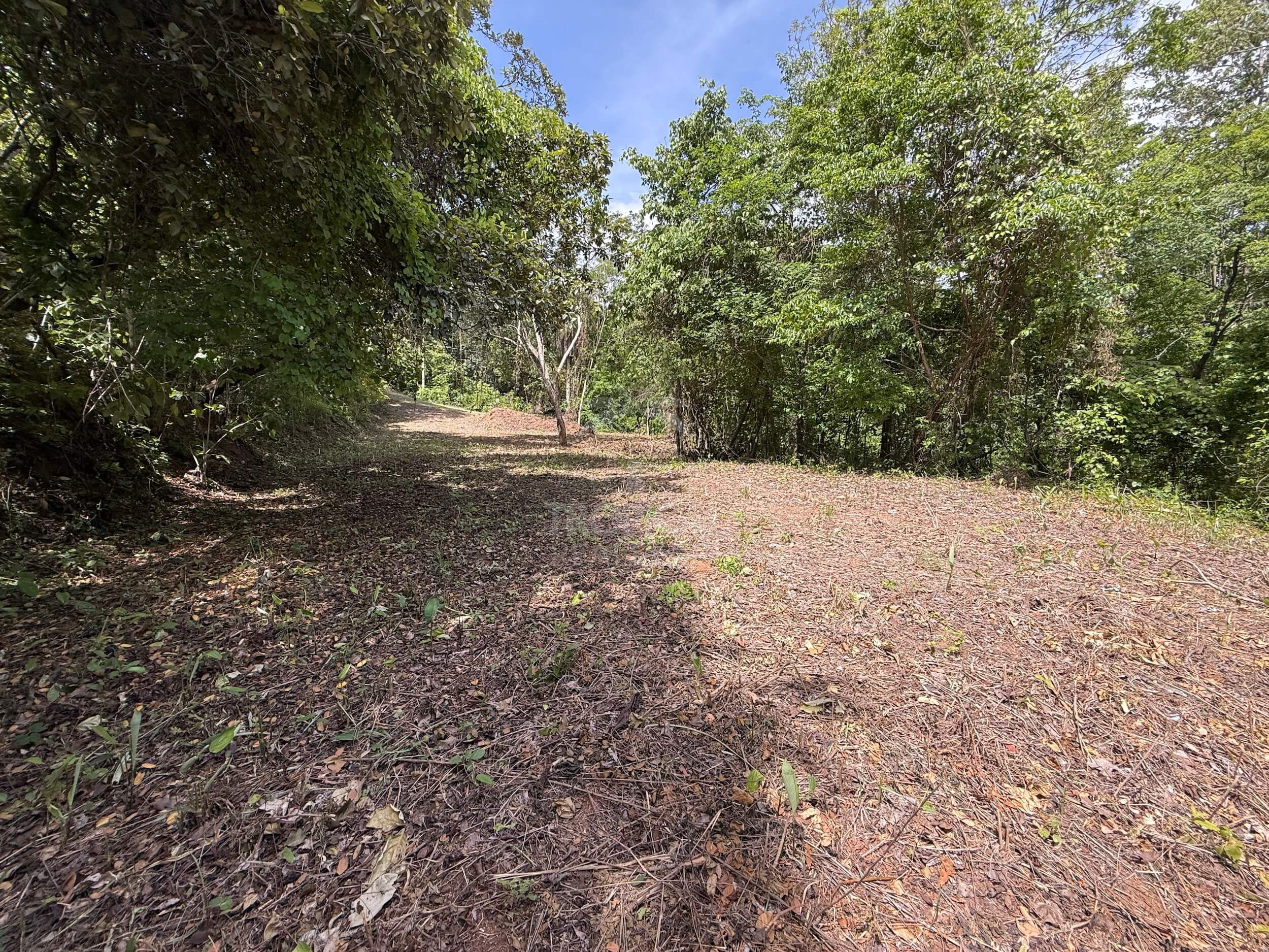 Exclusive 5,376 m² Macro-Lot: Your Private Nature Sanctuary in Lomas Del Mar, Guanacaste