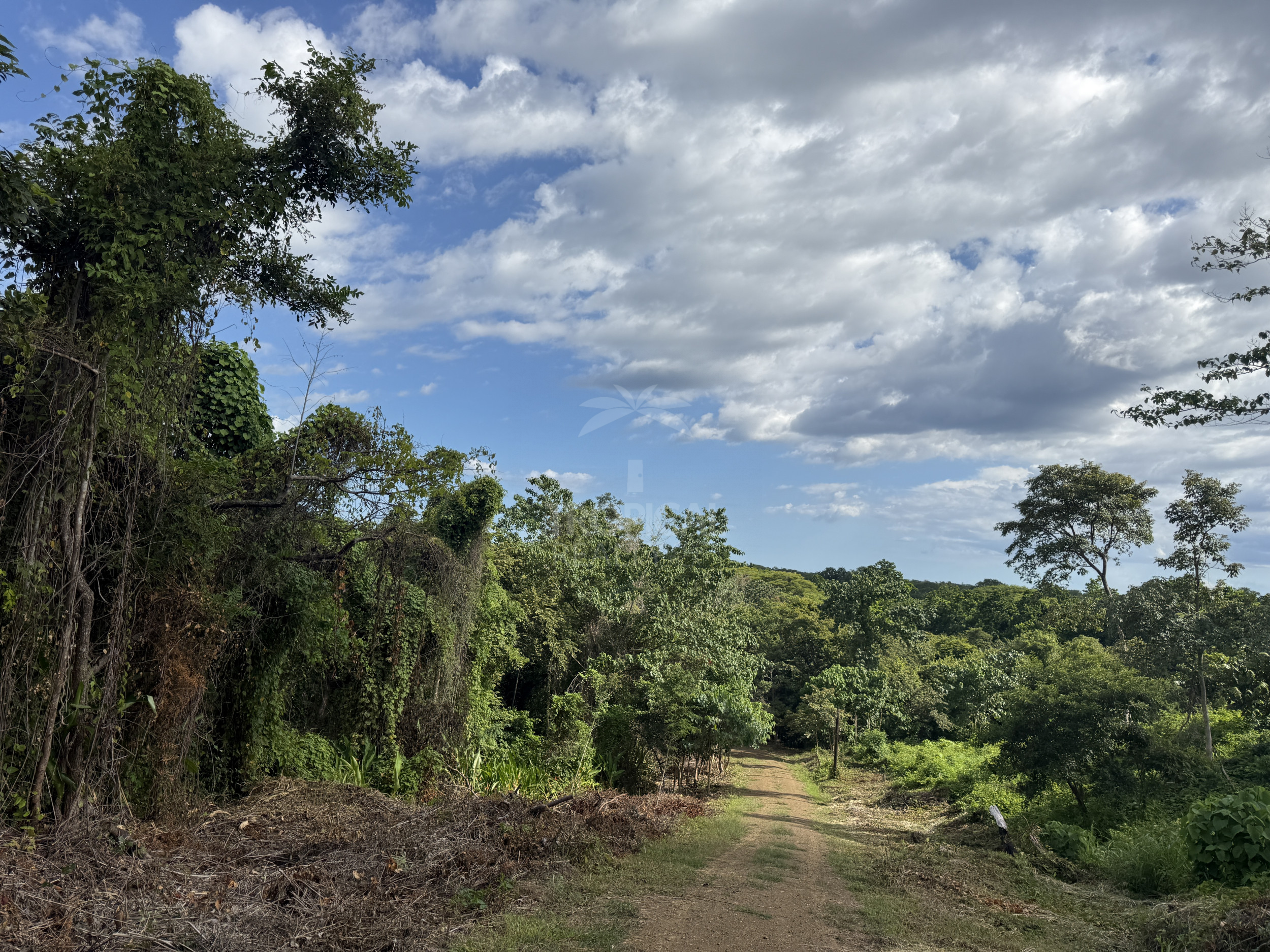 Land near the beach Costa Rica for development
