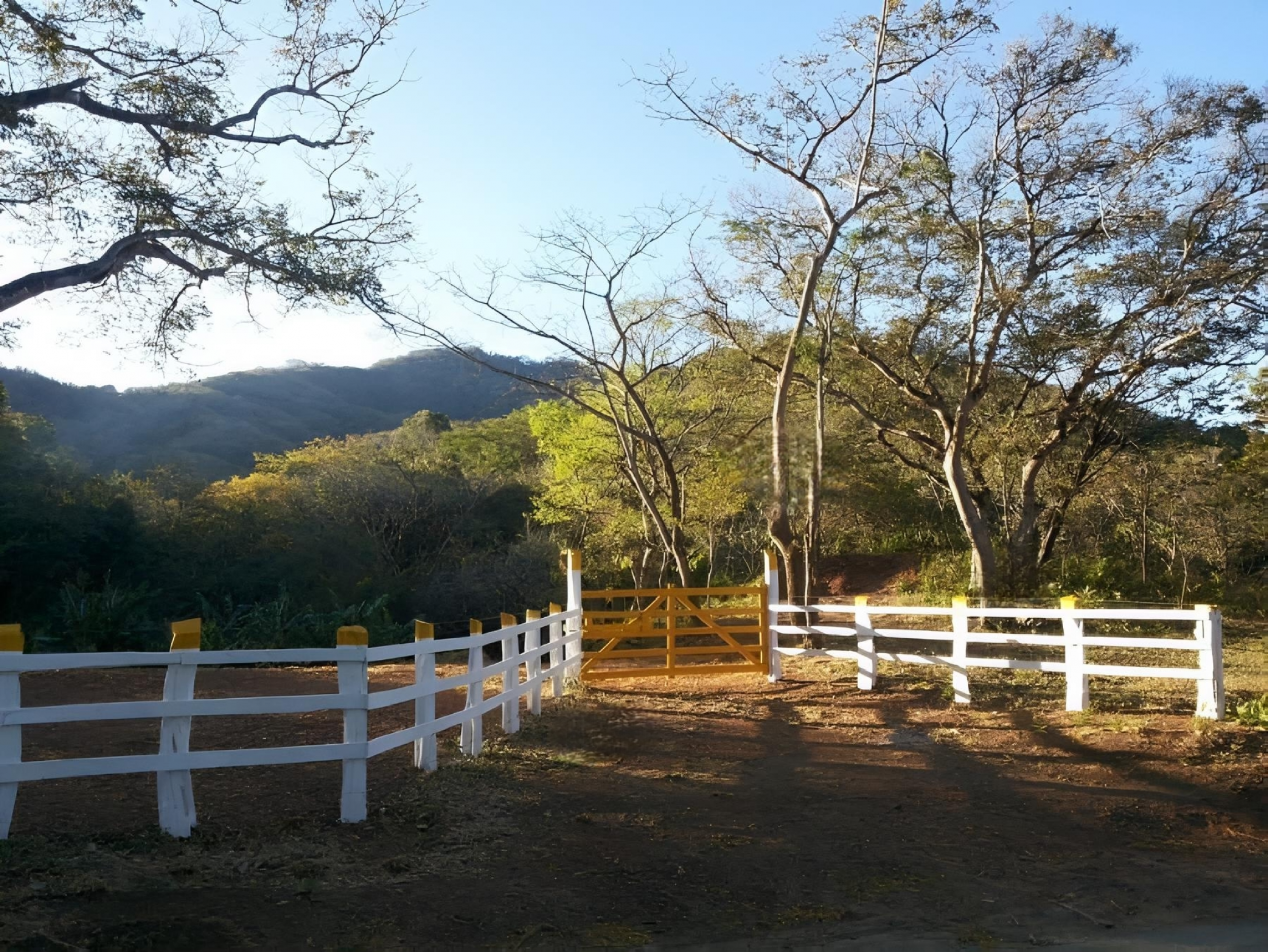 153-Hectare Ranch for Sale in Santa Cruz, Guanacaste – Natural Springs, Forest & Development Potential | $1,000,000