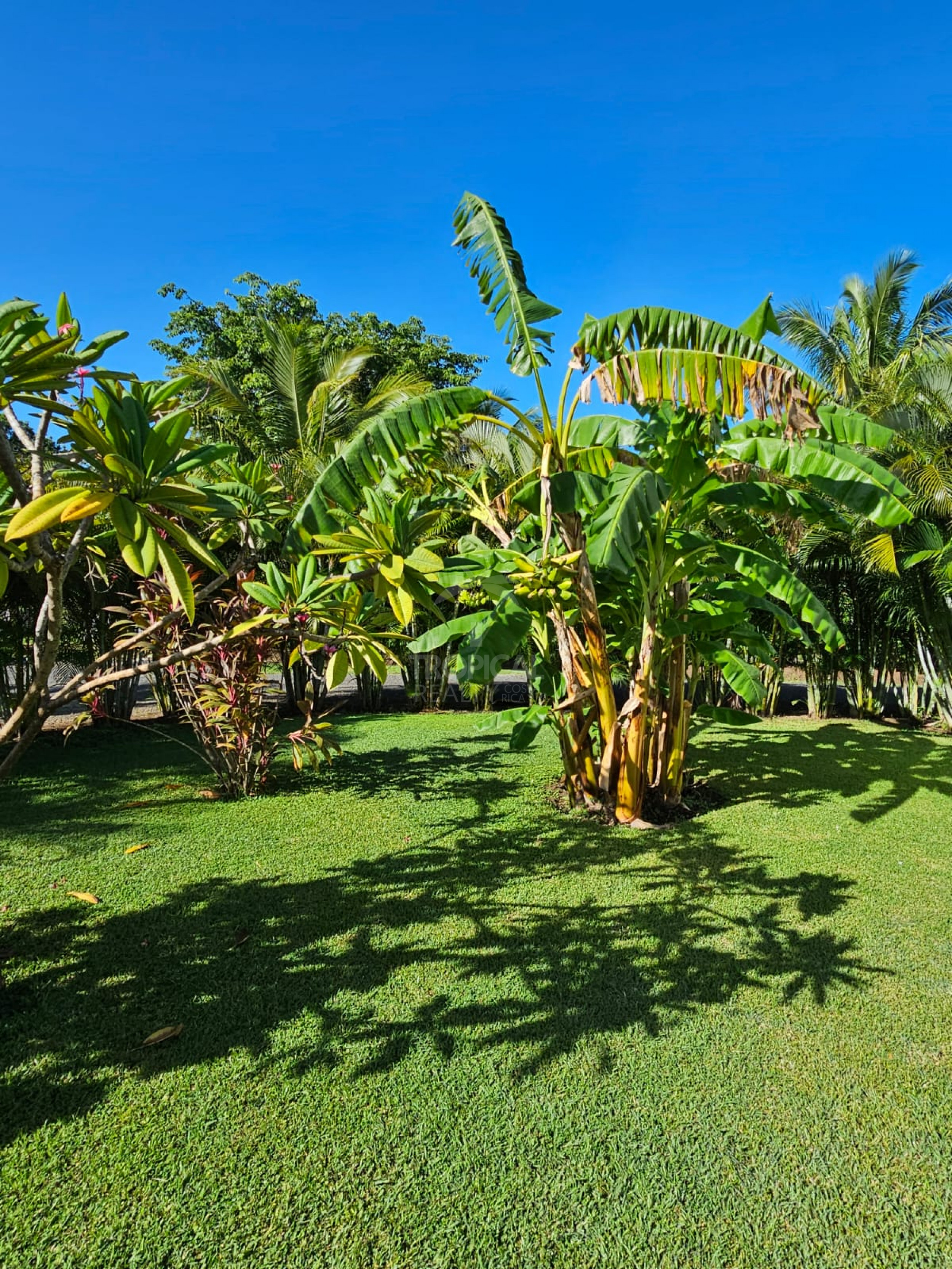 Luxury Bed & Breakfast Estate for Sale Near Playa Tamarindo – Prime Investment Opportunity