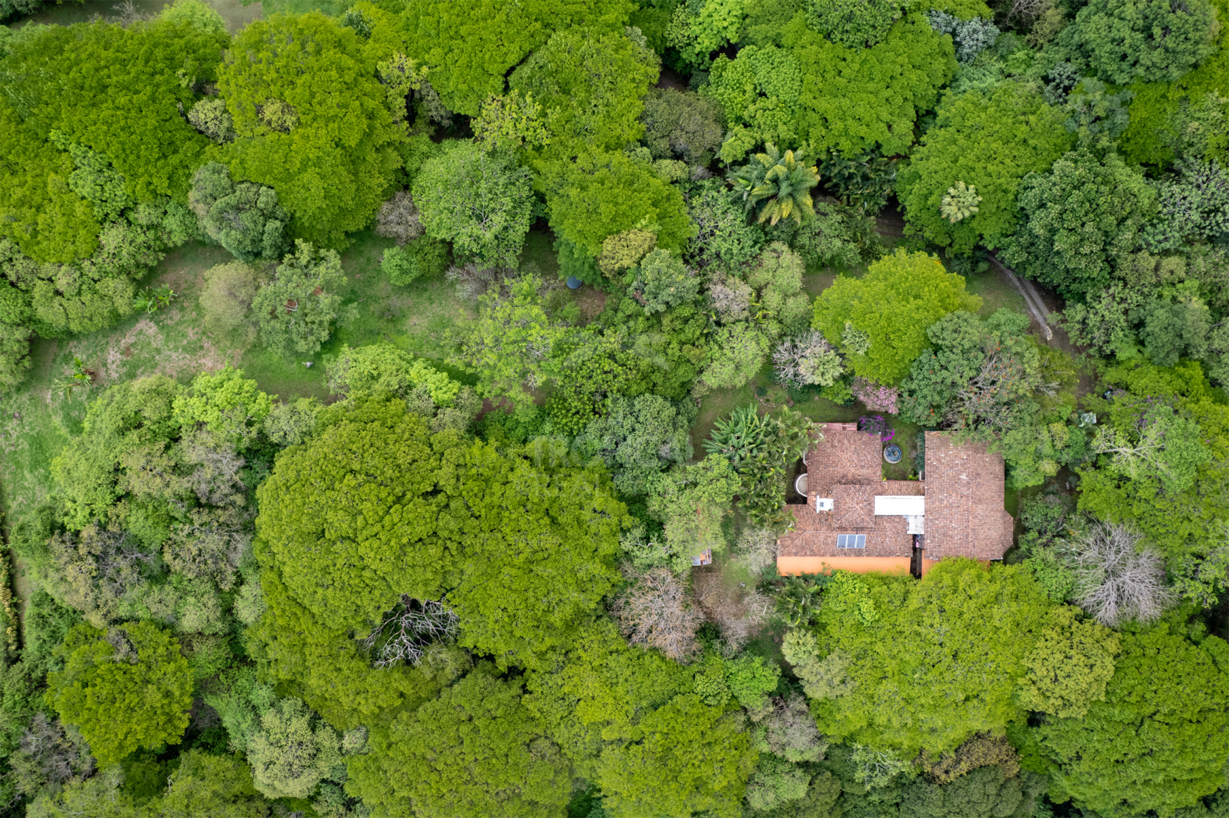 The Country Retreat You Dreamed Of LUXURY PRIVATE ESTATE