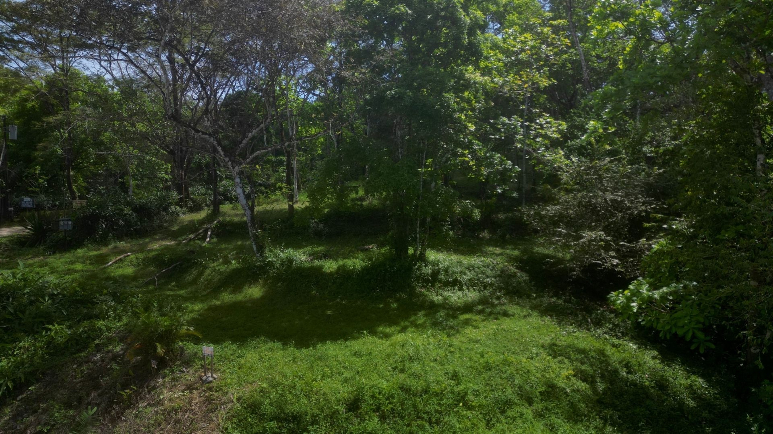 2600 m² Lot Only 7 Minutes from Santa Teresa Center and Beach