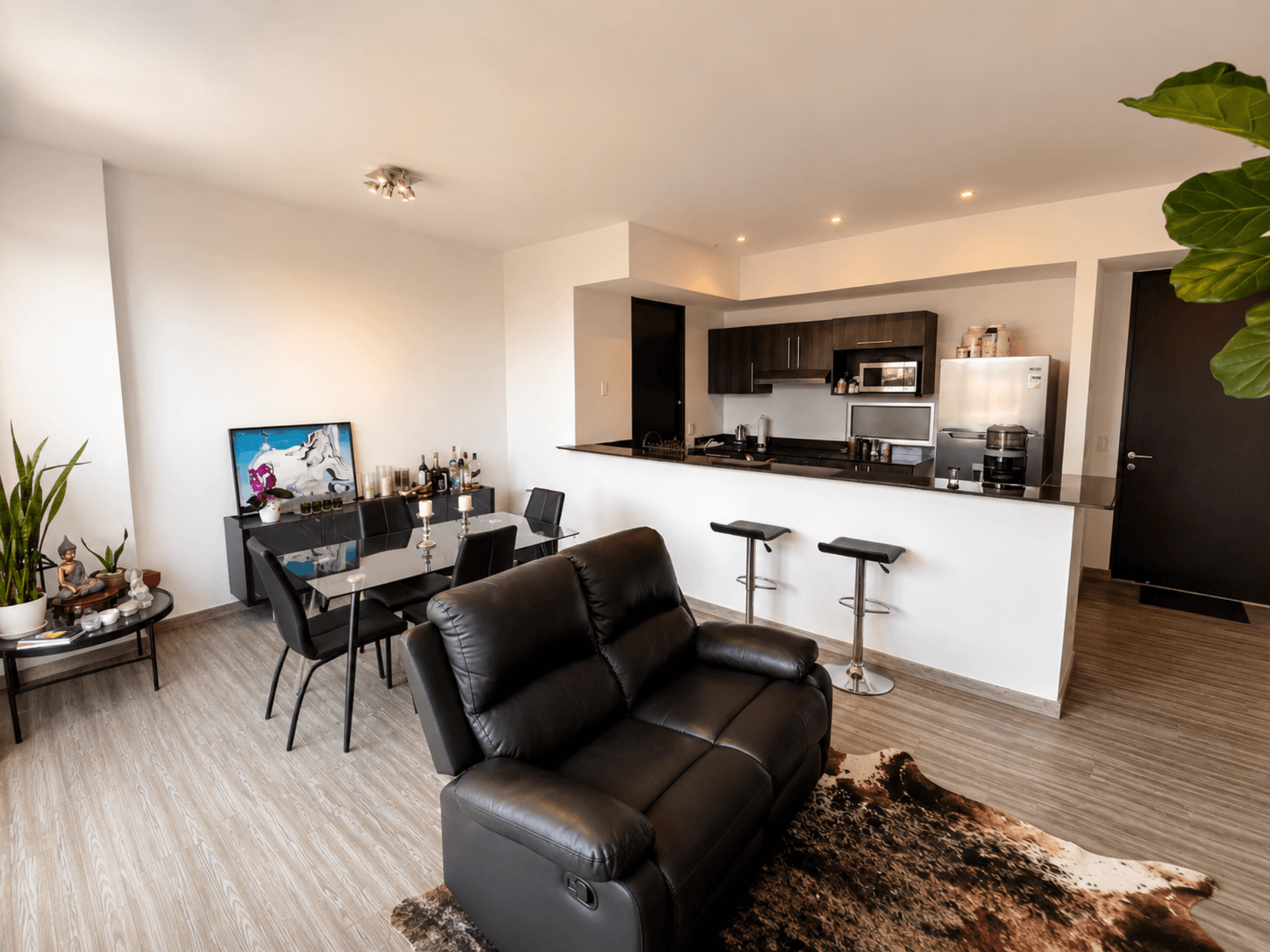 Modern Apartment for Sale or Rent in Nunciatura – Prime Urban Location in San José
