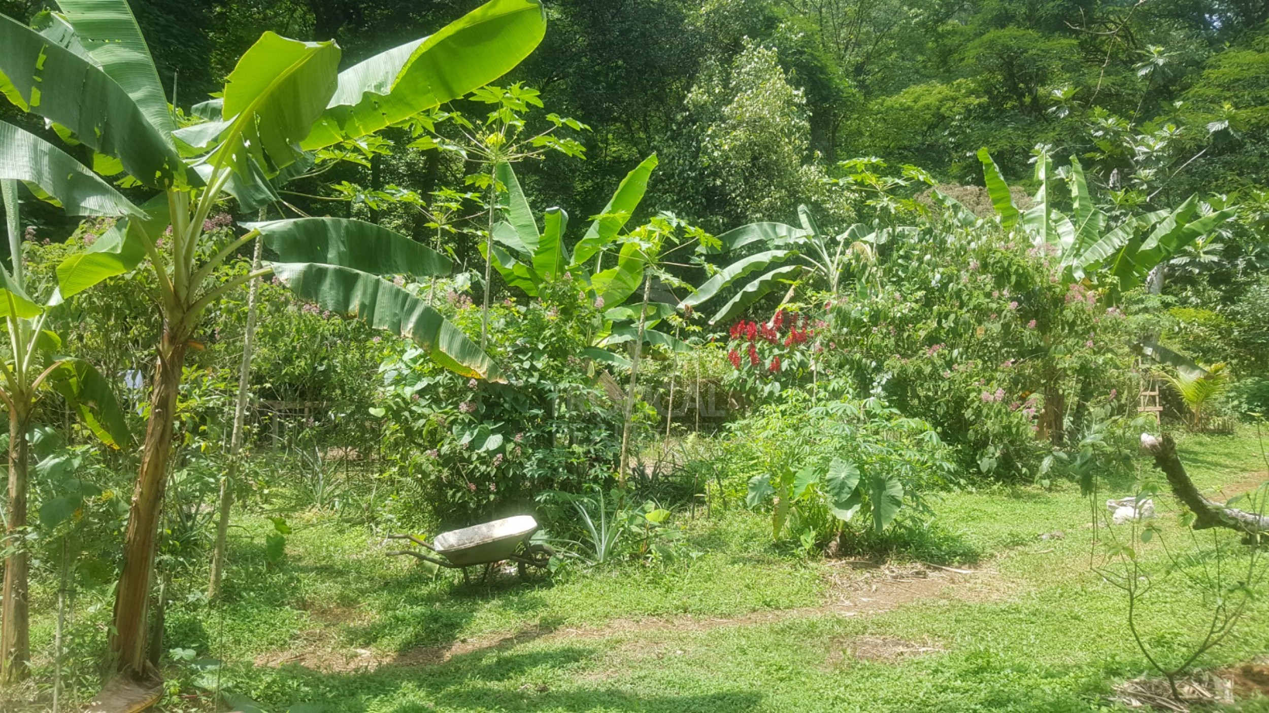 For Sale: Nature Lover’s Paradise in Sarapiquí – 24.7 Acres with Two Rivers | Bijagual, Heredia