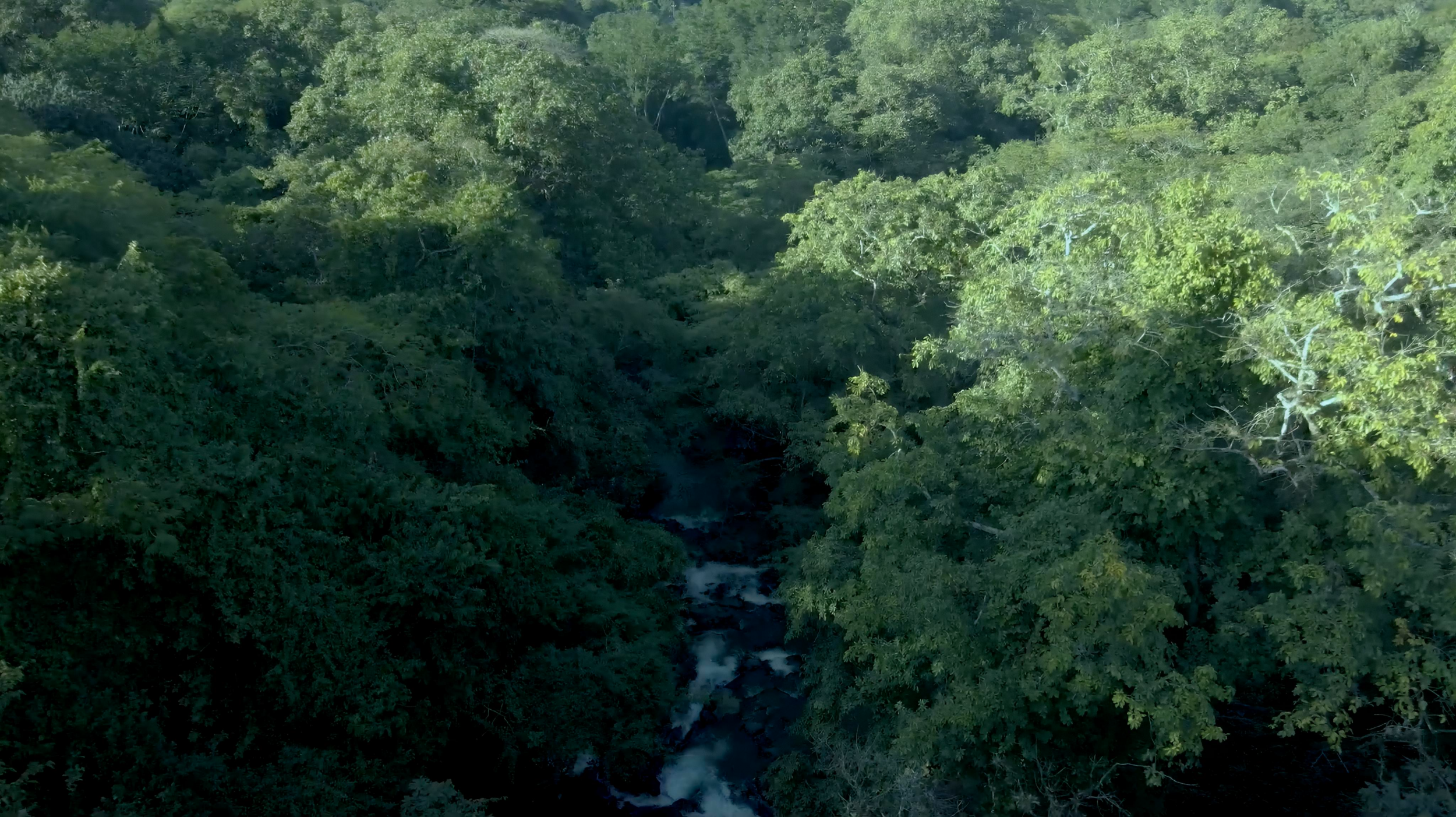 4.5-Hectare (11.27-Acre) Land for Sale in Curime, Nicoya | Rivers, Main Road Frontage & Blue Zone Living