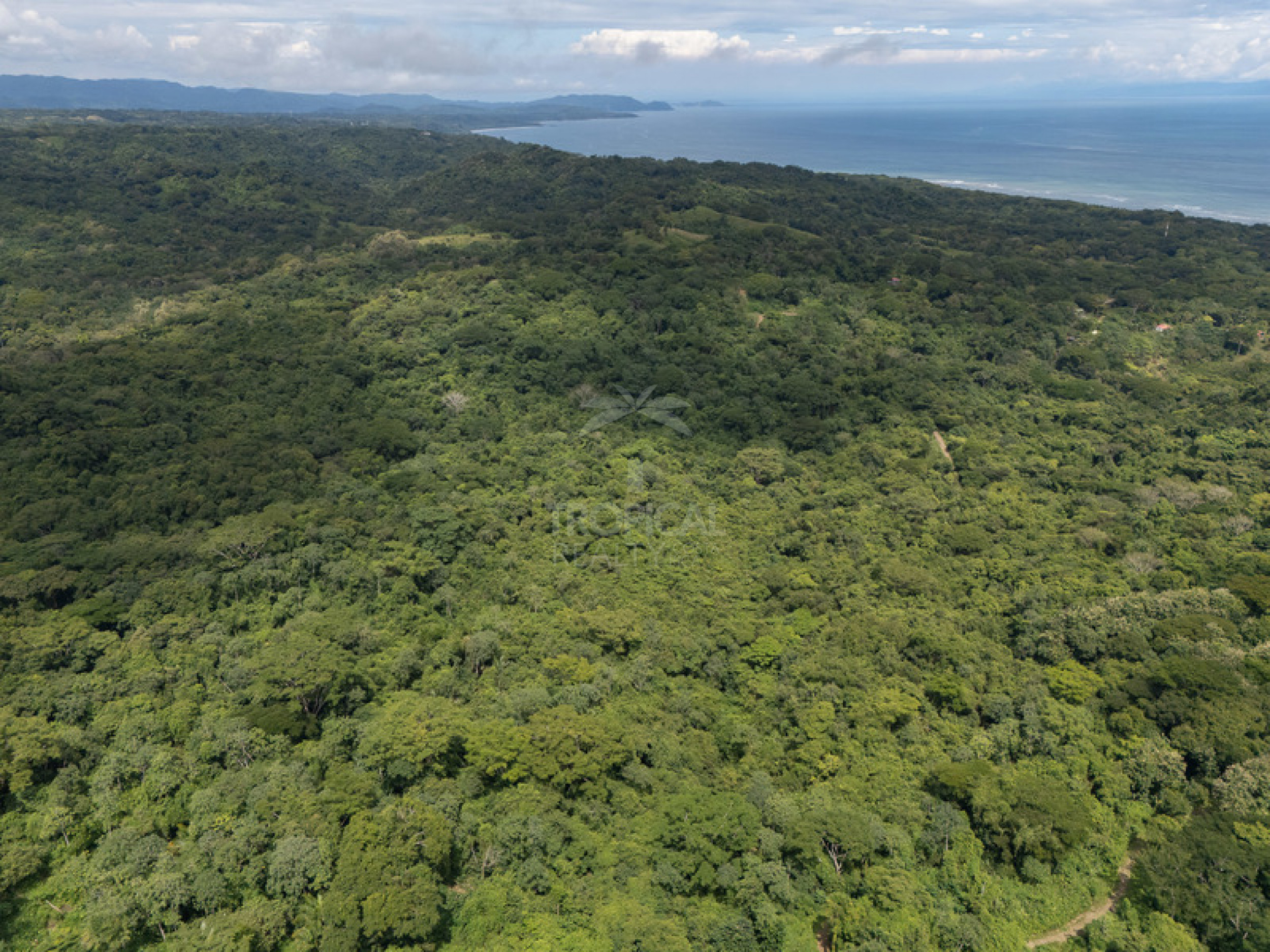 Premium Ocean View Development Estate in Cabuya – 58.6 Hectares with Infrastructure and Exceptional Potential