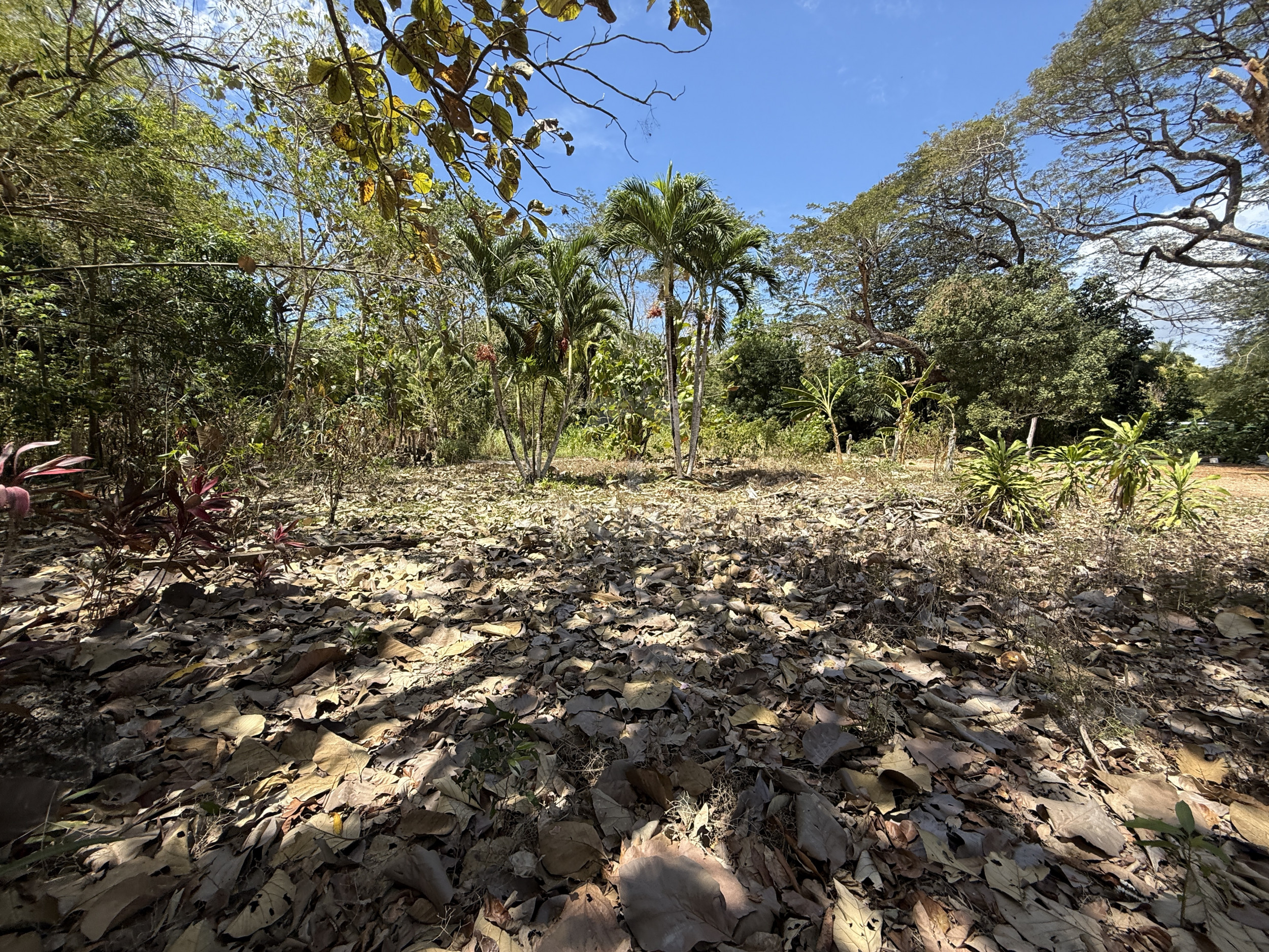 Beachfront Land for Sale, Cabuya | Concessioned Lot Nicoya Peninsula