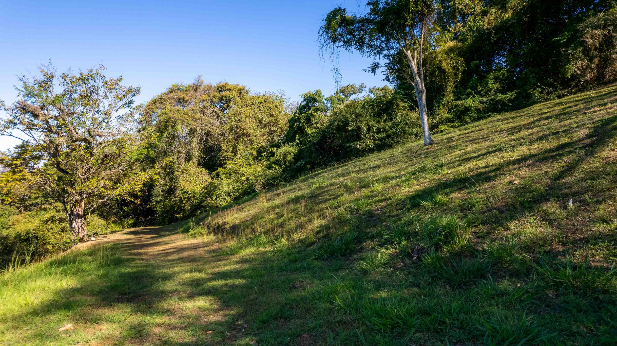 Stunning Lot with Views in Cerro Colón, Ciudad Colón