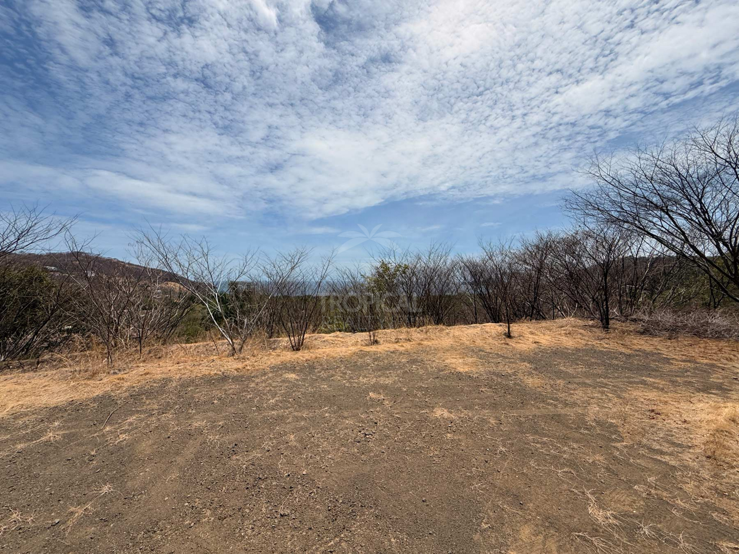 Premium Ocean View Homesite in Alta Vista, Playa Hermosa