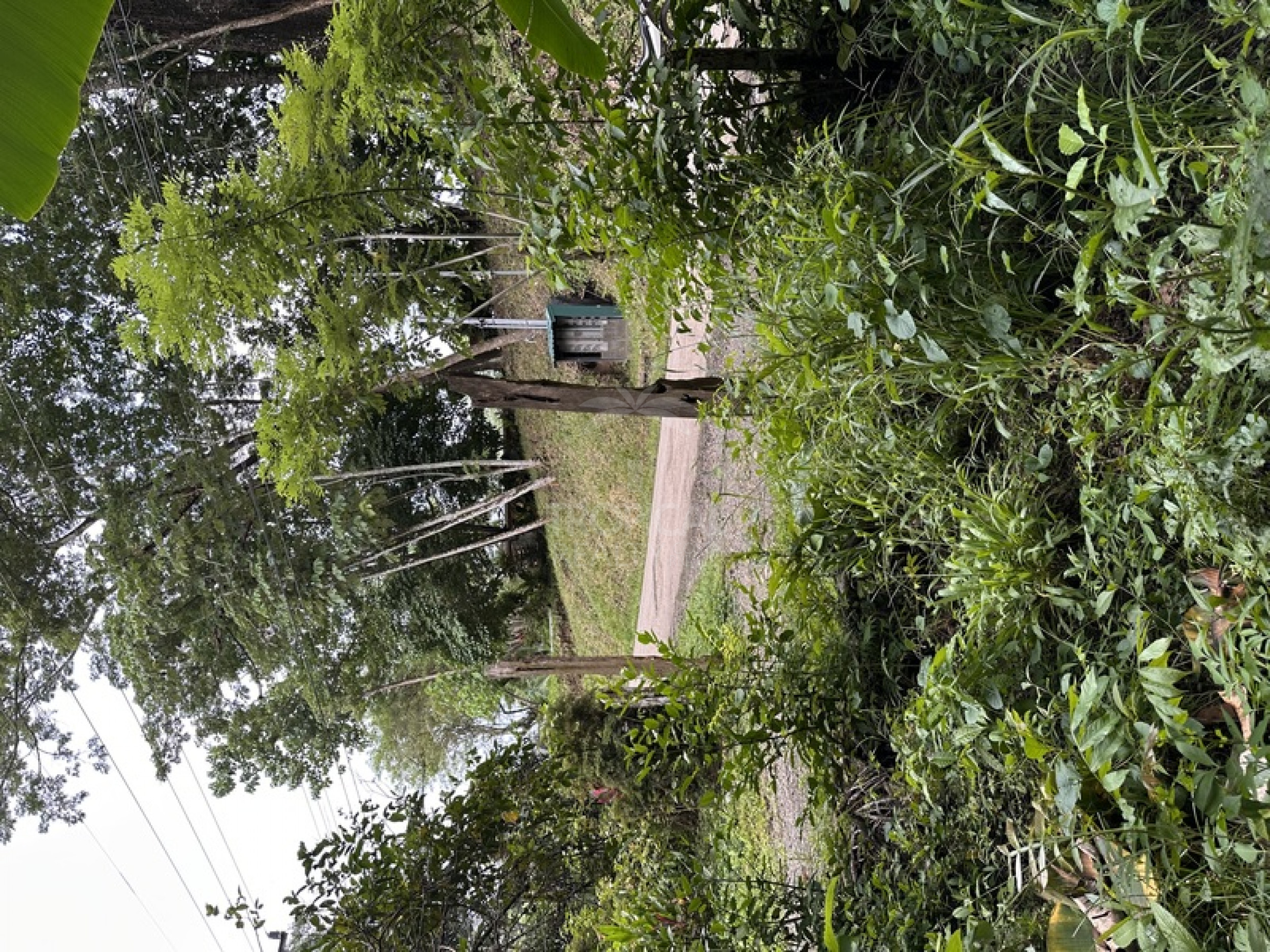 Commercial & Tourism Development Lot for Sale in Manzanillo, Costa Rica – Prime Location Near the Beach