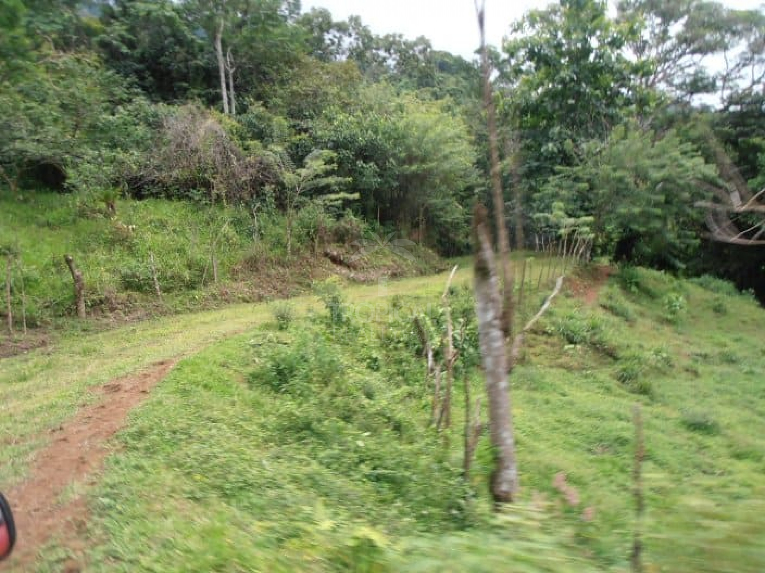 210-Hectare Farm for Sale in Tulín, Puriscal | 519 acres