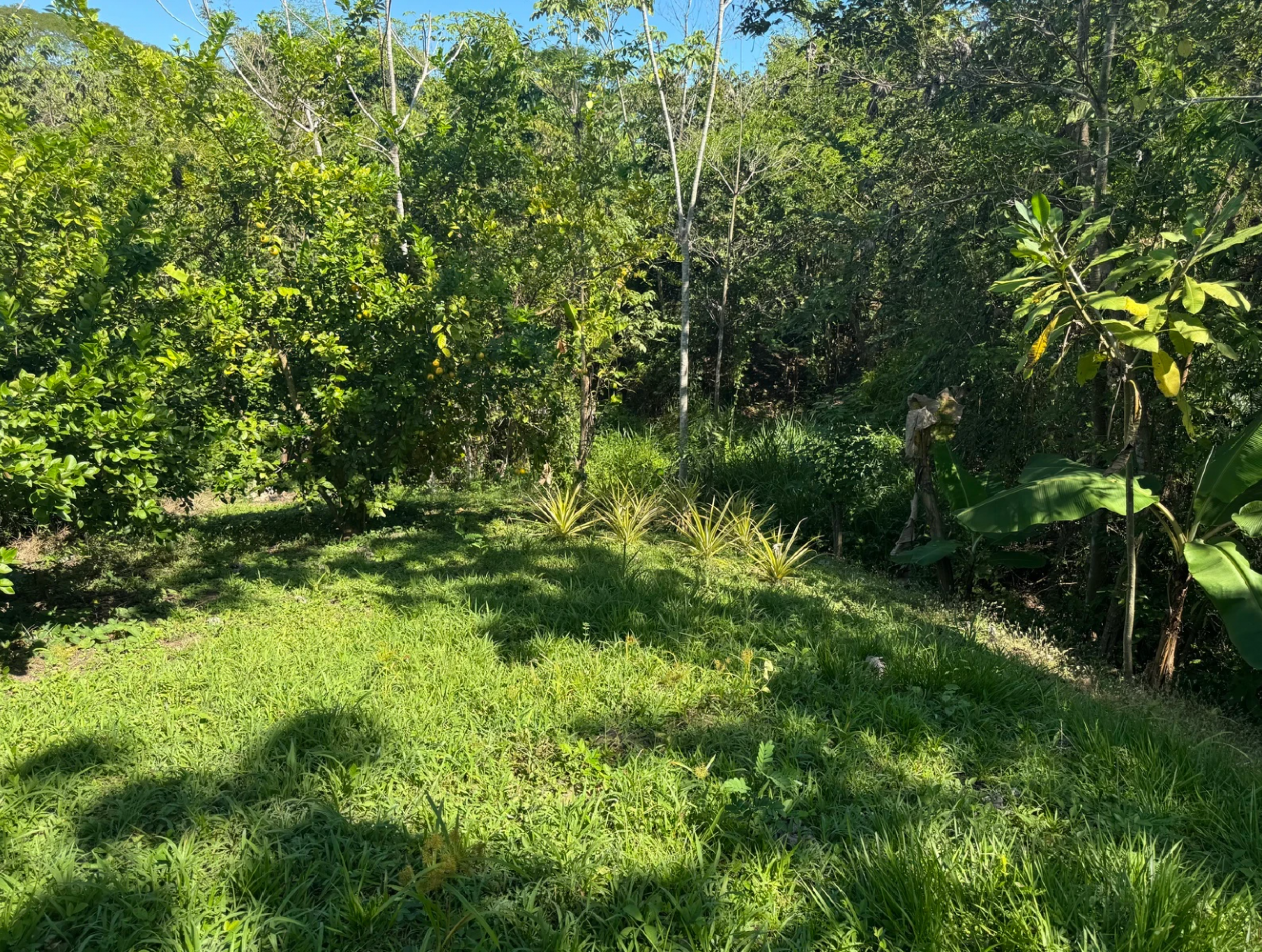 1,527 m² Lot in La Palmita – Nature & Close to Playa Hermosa
